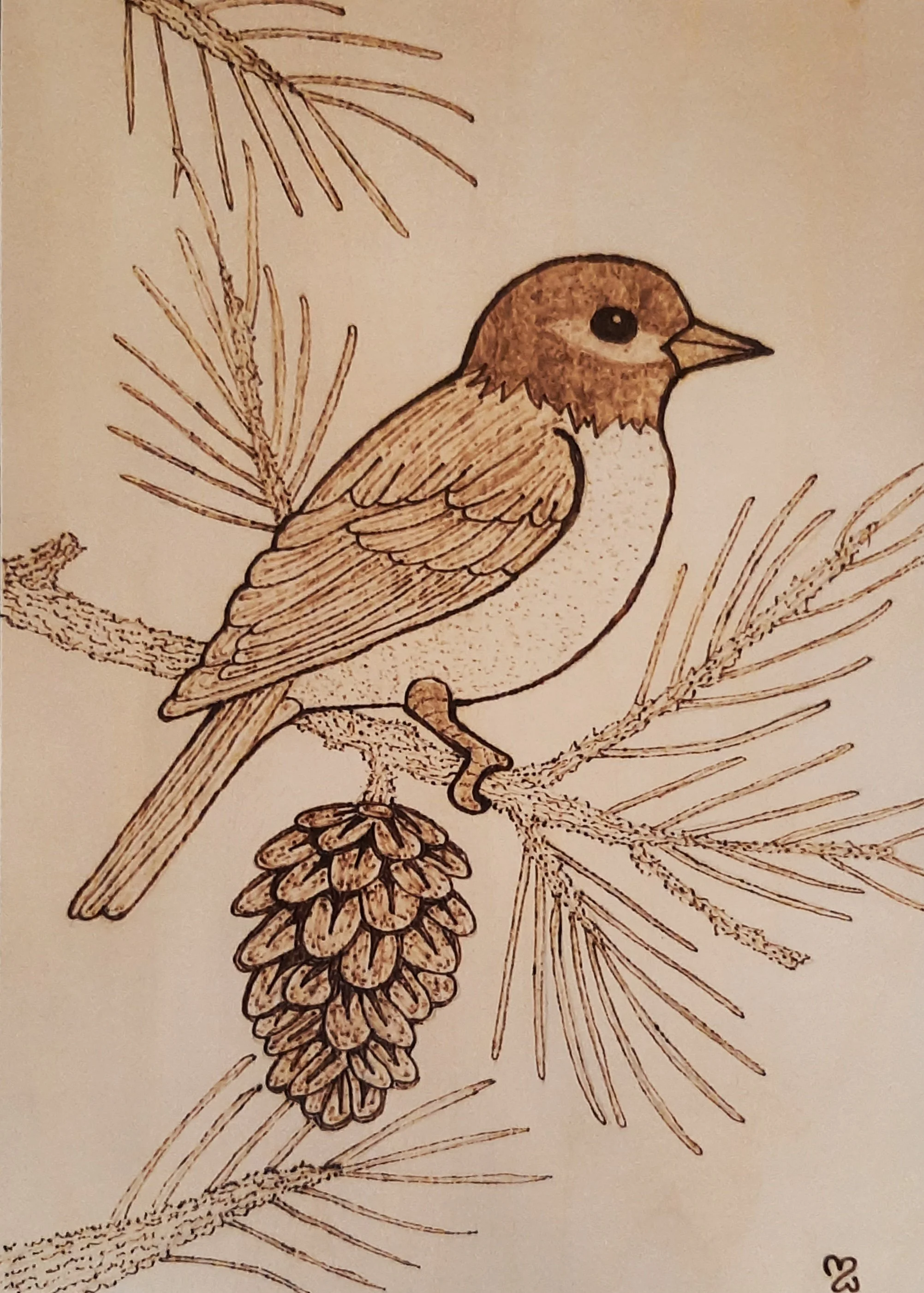 1000015987 (1) (1).jpg