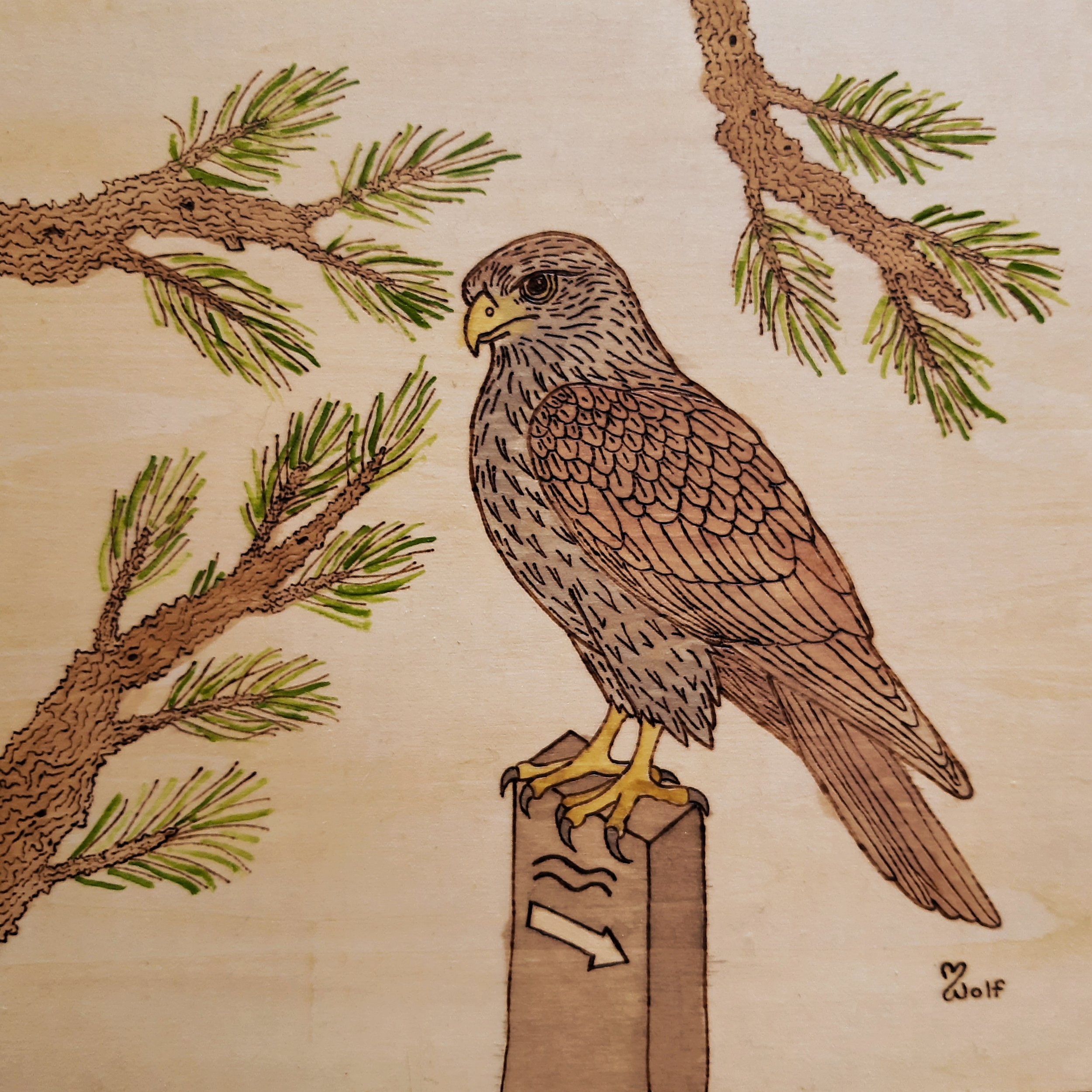 Trail Post Hawk 10"x10" $240
