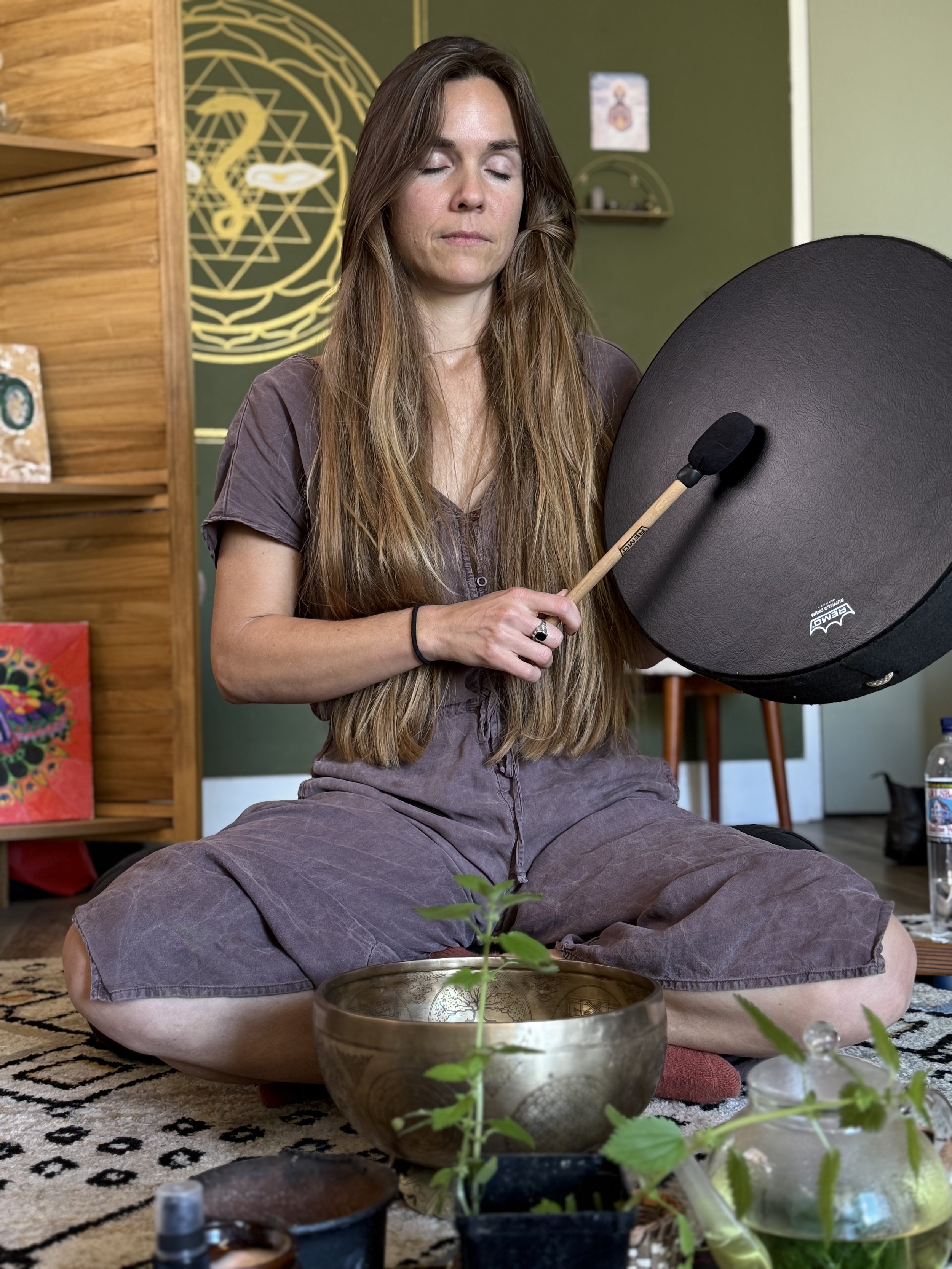 Plant Spirit Meditation at Yoga on State