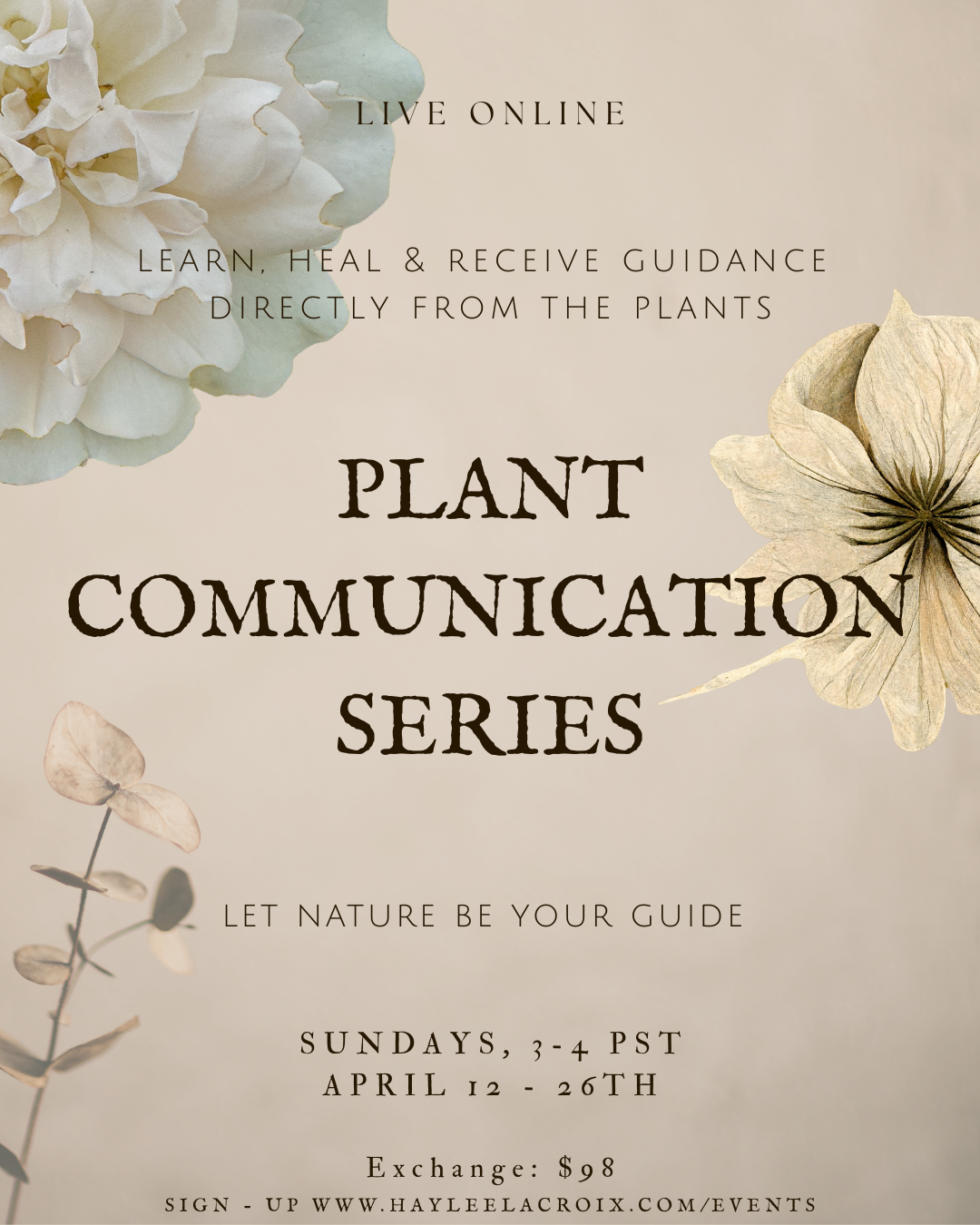 plant communication series.png