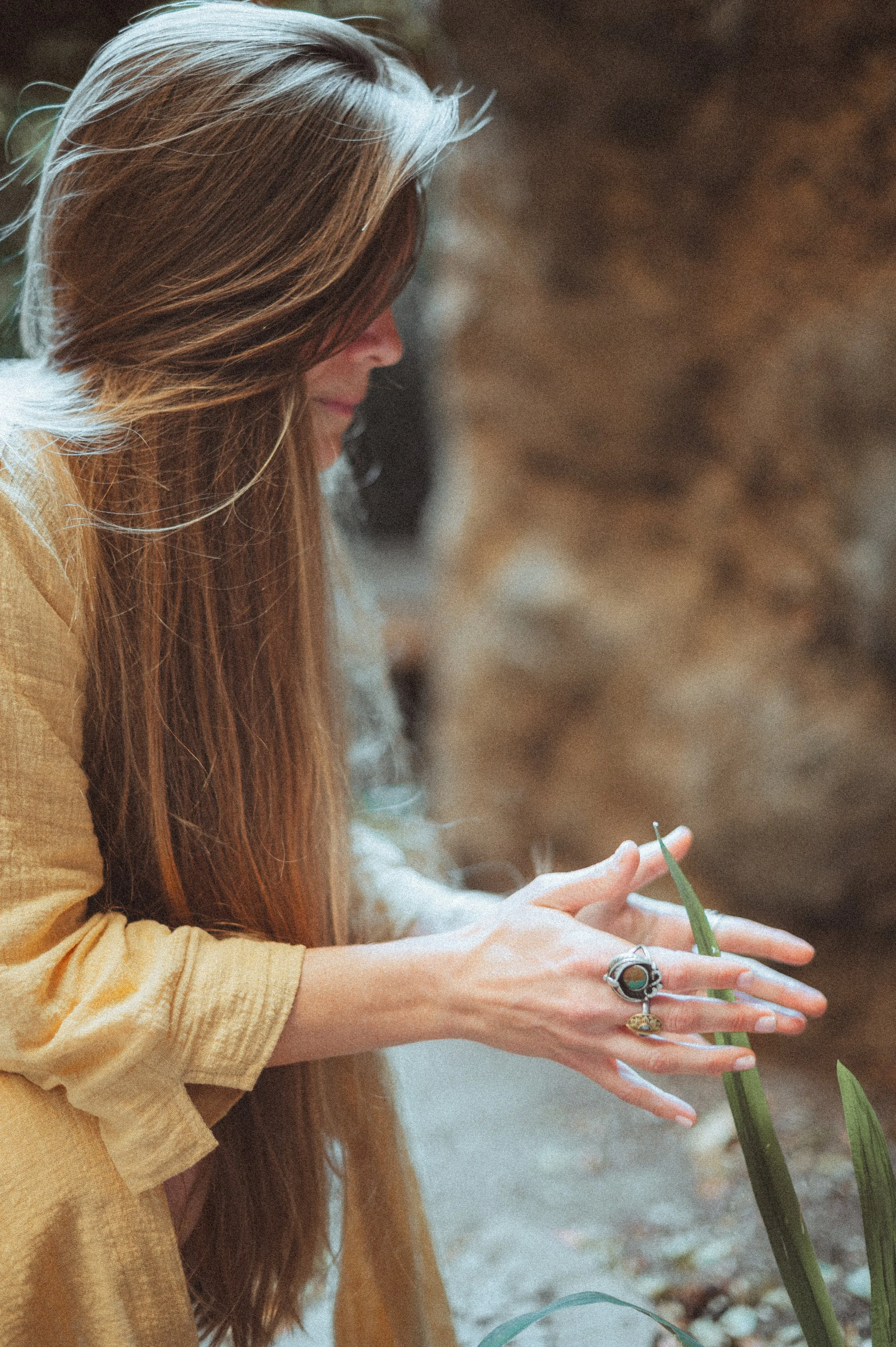 Plant Spirit Meditation at Mantra Sukha