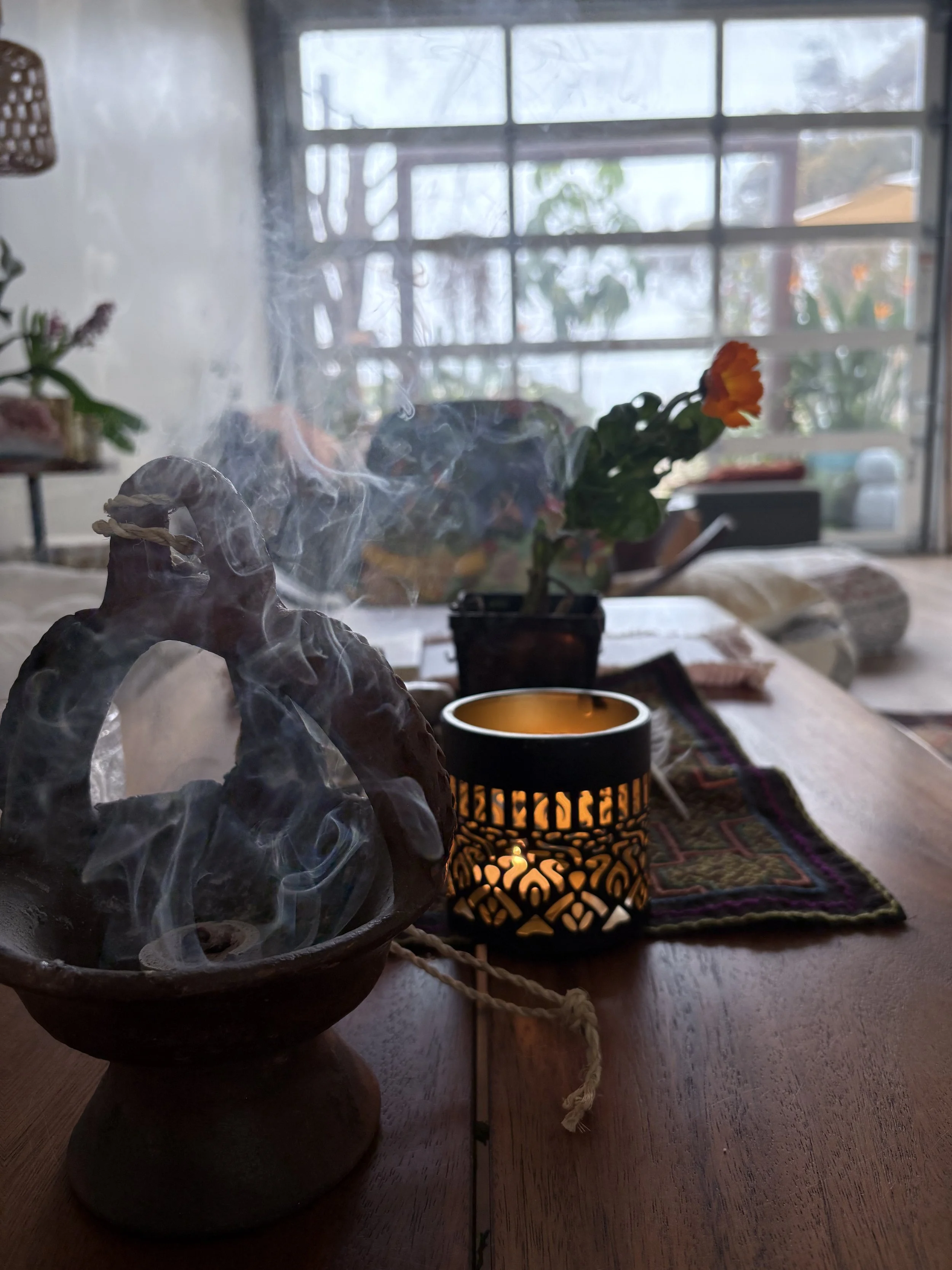 Plant Spirit Meditation at Mantra Sukha