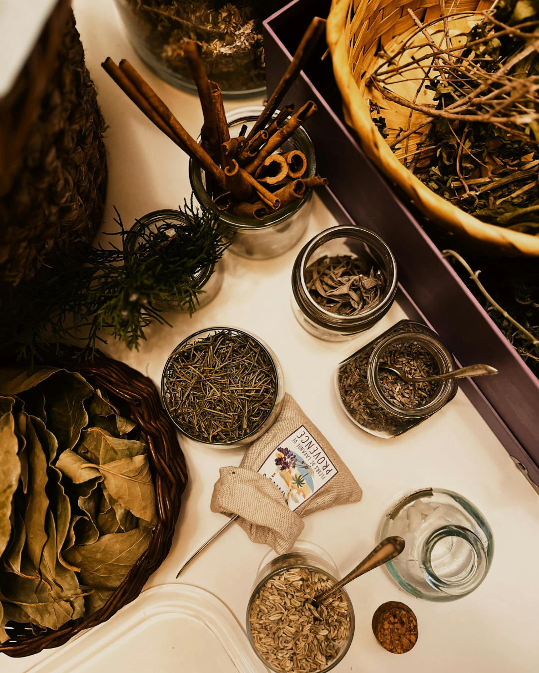 Thursday Online Guided Plant Meditations