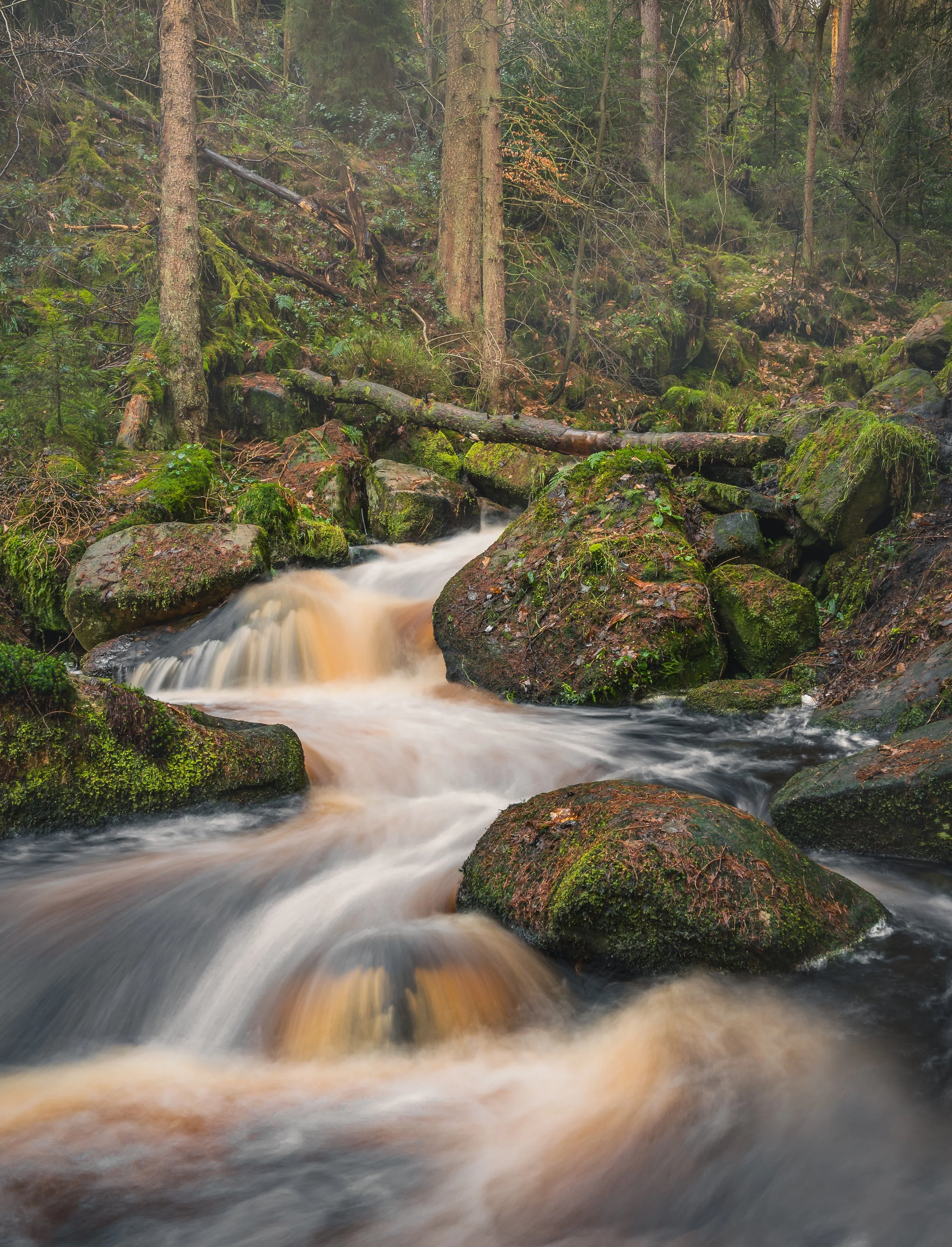 Wyming Brook Cross bar.jpg