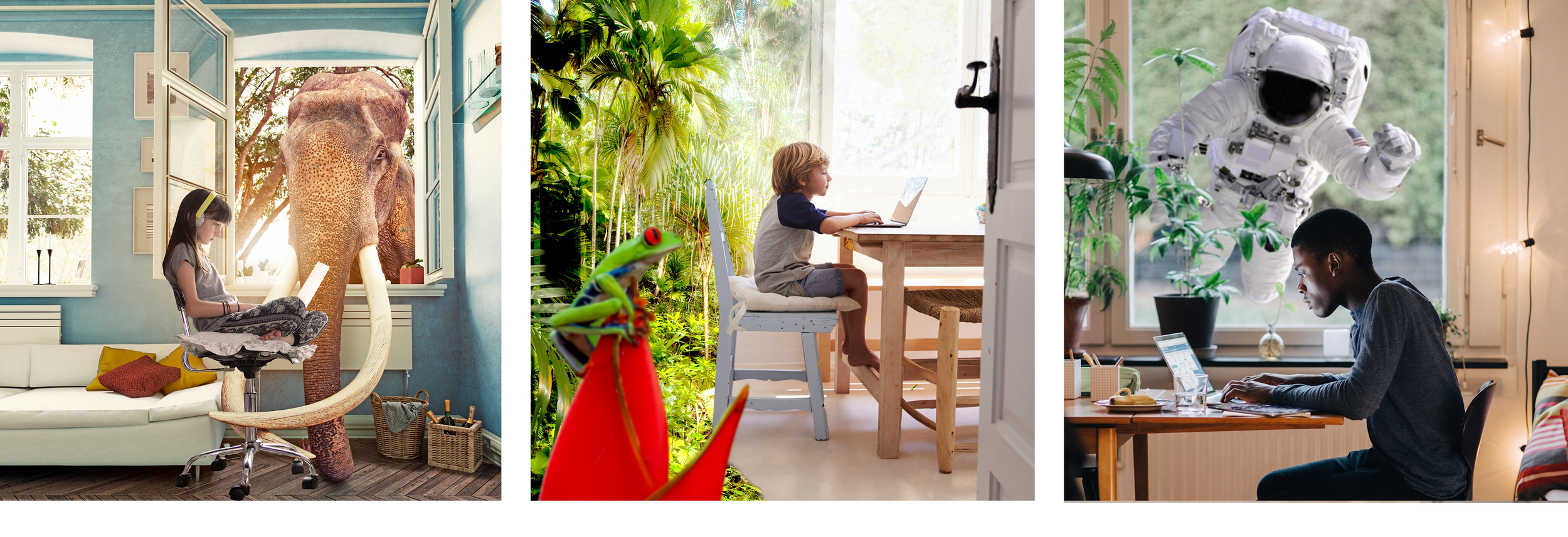 CA_invite_images2.png