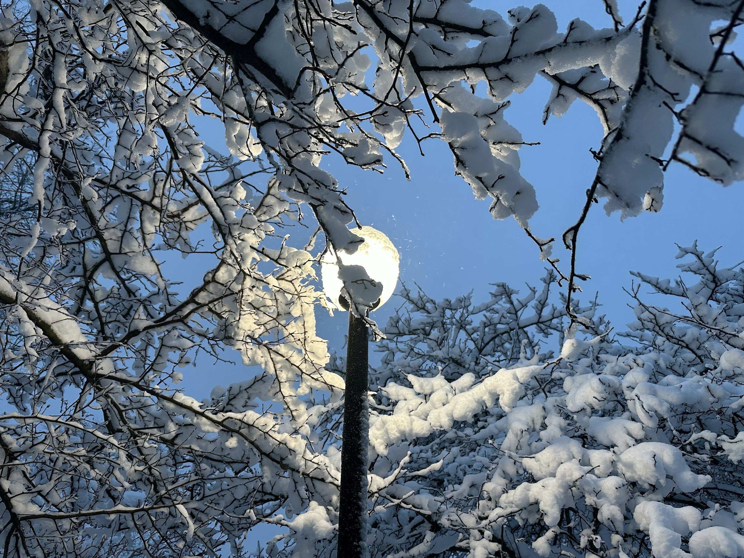 2025 Holiday Gathering: Please RSVP 