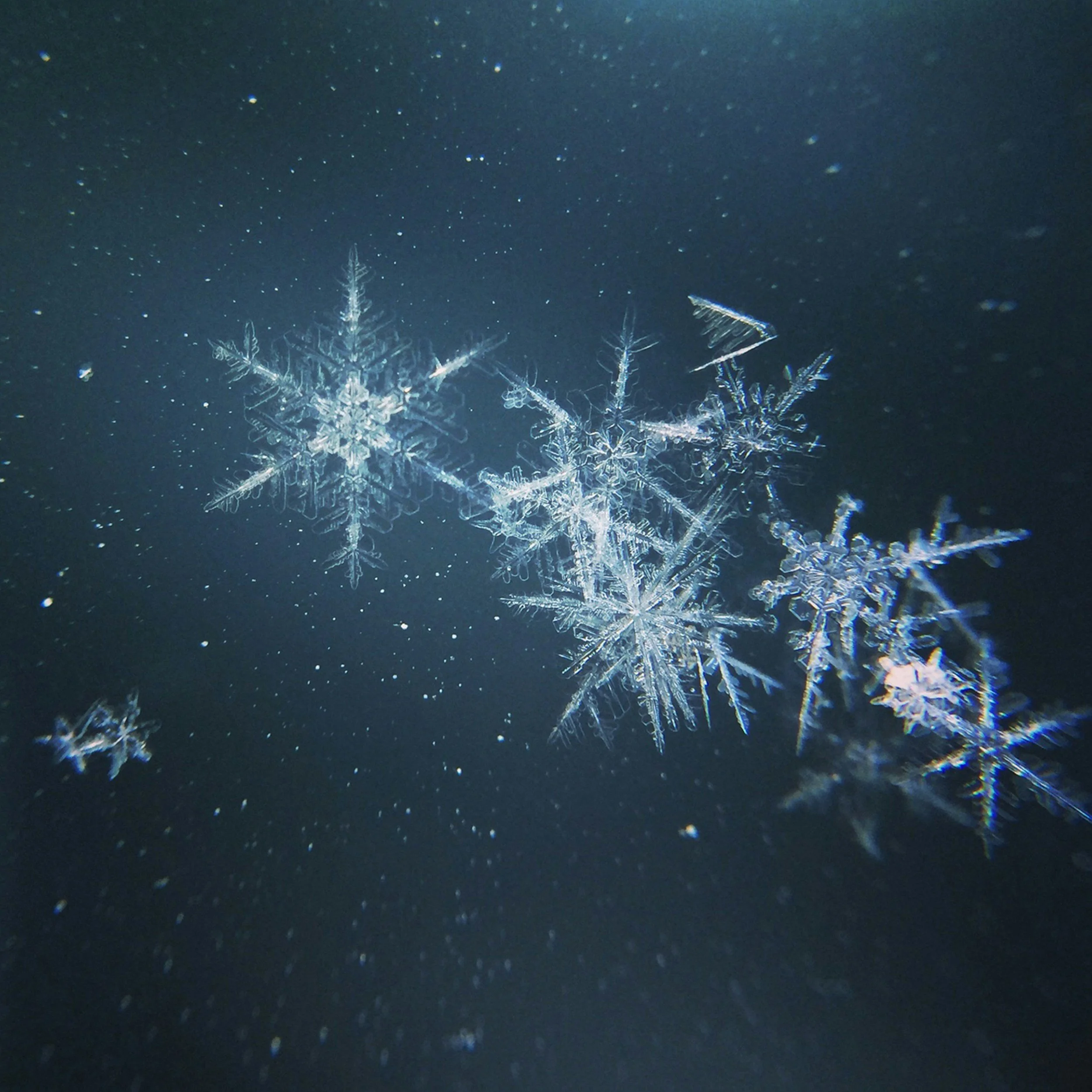 Snowflakes