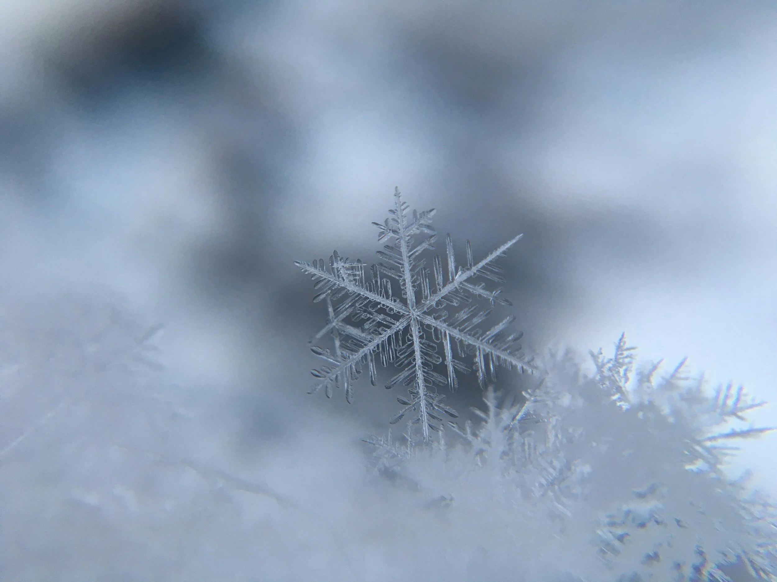 Snow on the ground