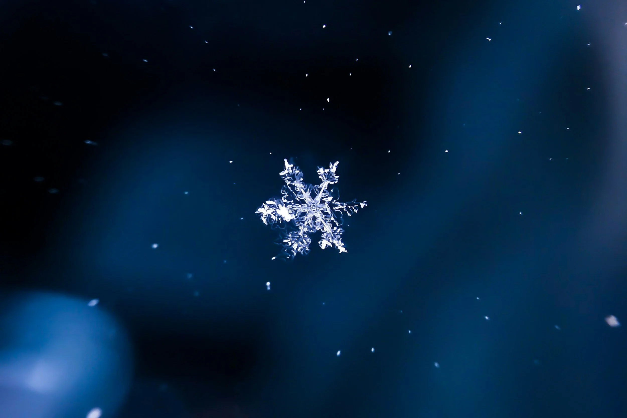 A snowflake is in the sky.