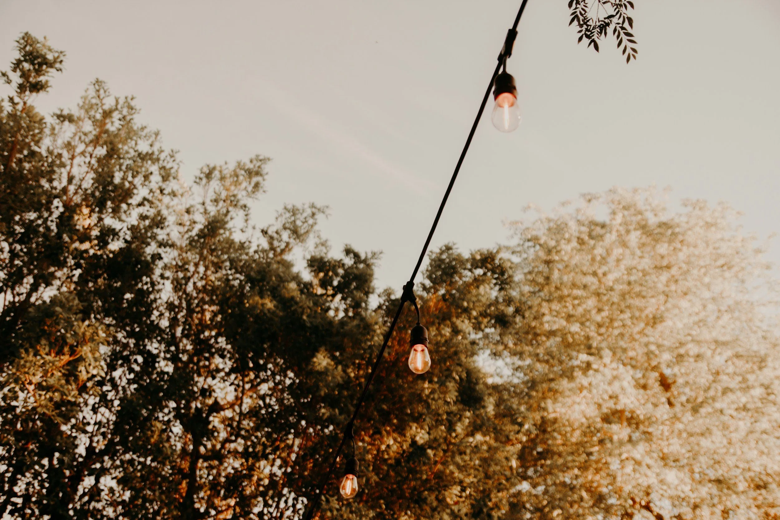Reminder: Summer Party is Tonight, August 27
