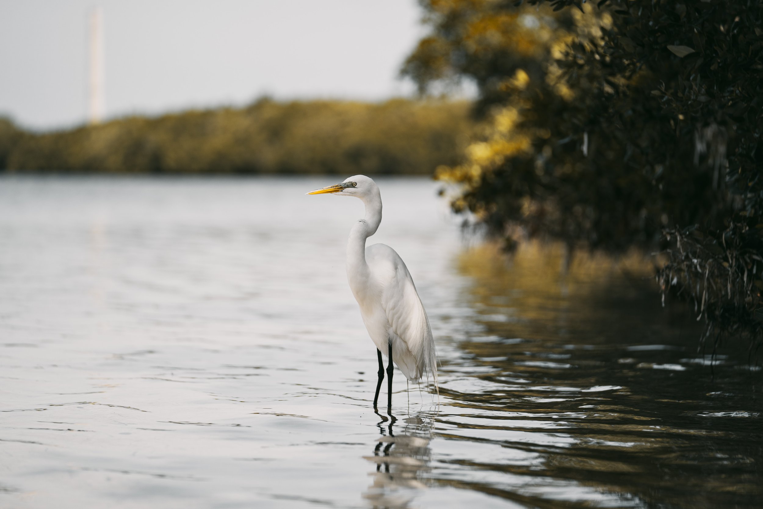 The Route: Gulf Coast