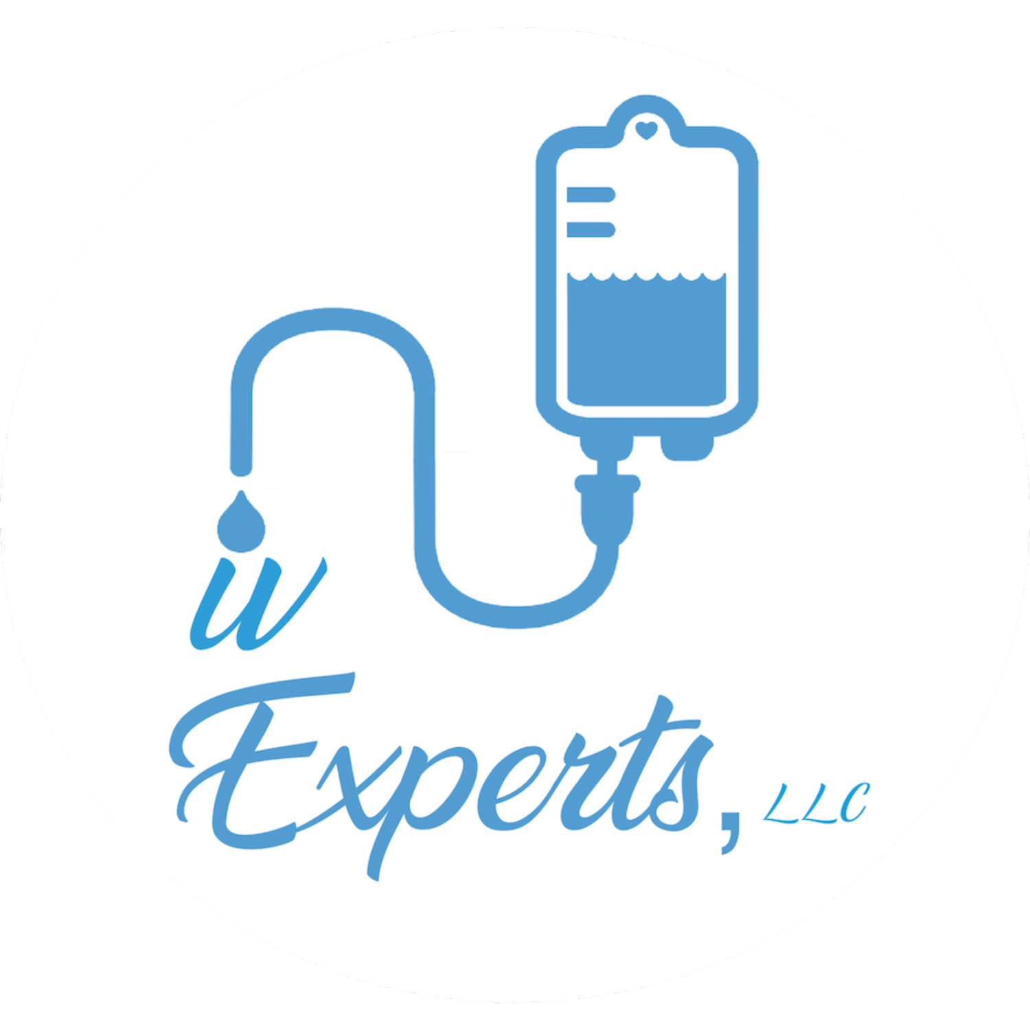 IV Experts Education &amp; Consulting Services