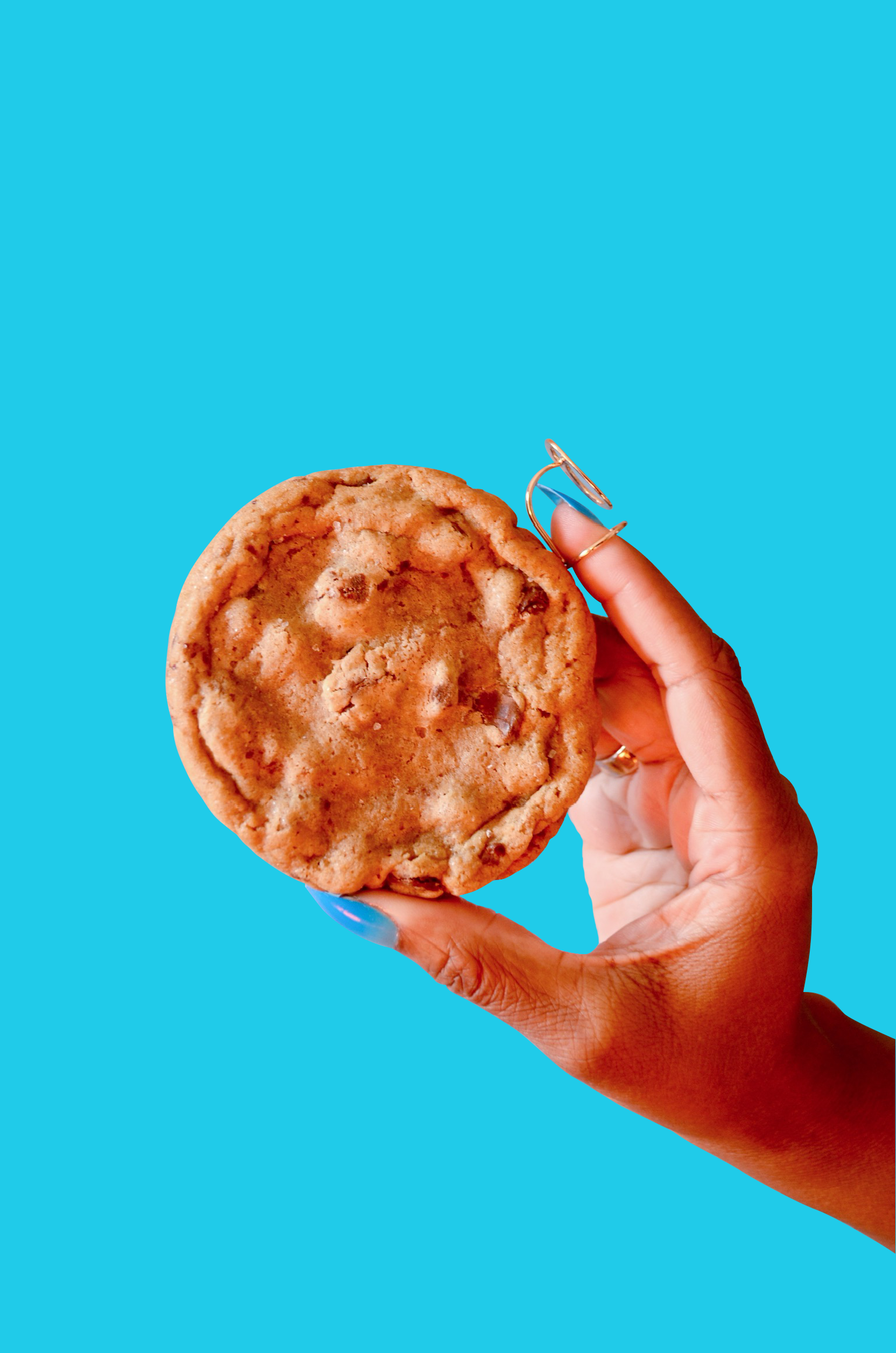 ChocolateChip-2-blue.png