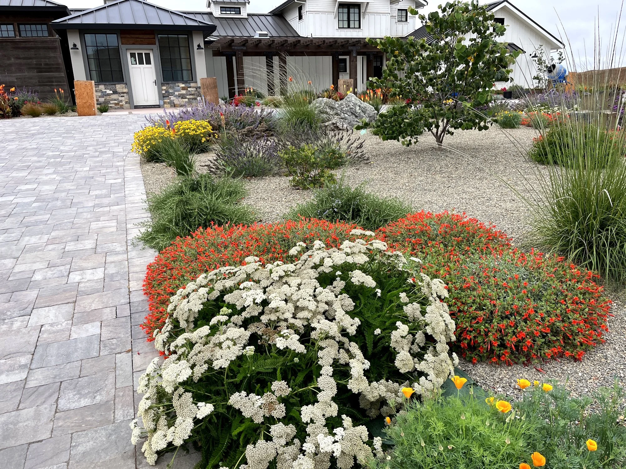 Rhyne Designs 13th Anniversary