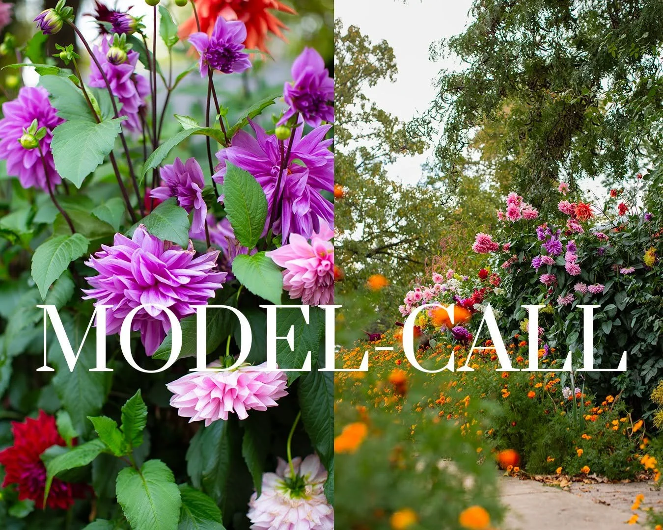 Hello All! 🌸 Last-Minute Model Call!
I’m looking for a high school senior (female) to model for a floral, editorial-inspired photoshoot — think soft blooms, natural beauty, and a hint of high-fashion charm.
📸 Session Details
The sessi
