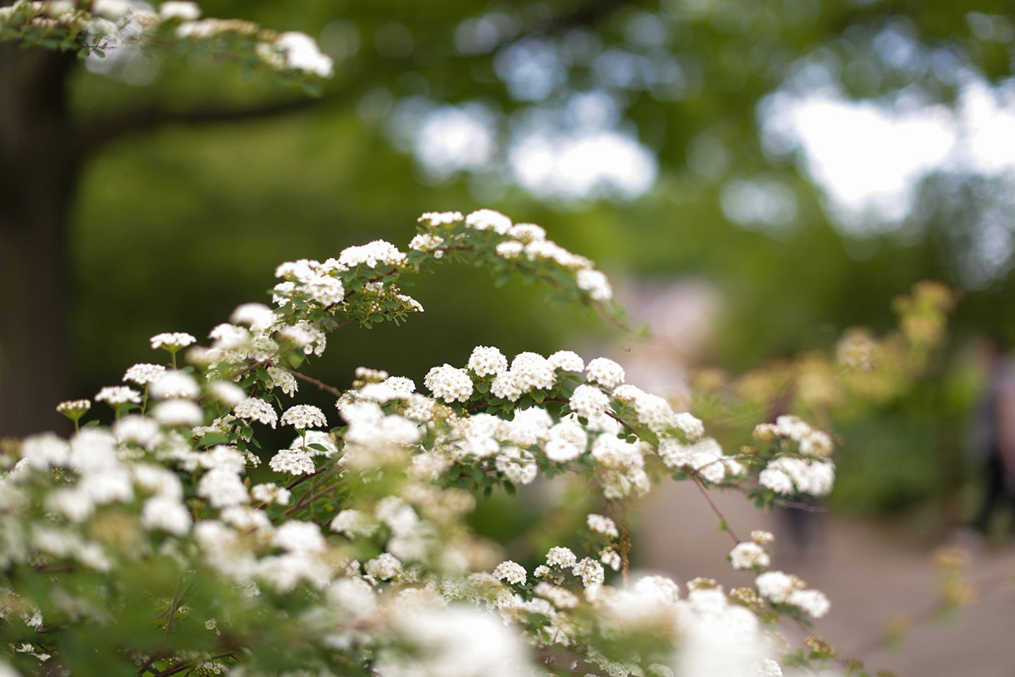 Locations_BoernerBotanicalGardens (19).jpg