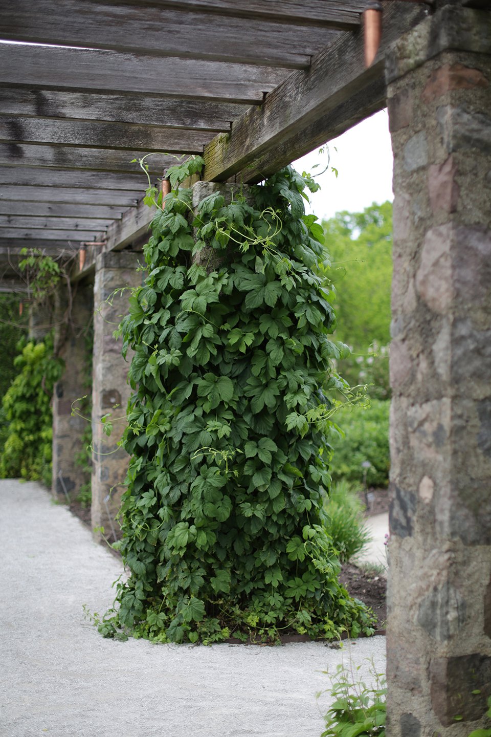 Locations_BoernerBotanicalGardens (10).jpg
