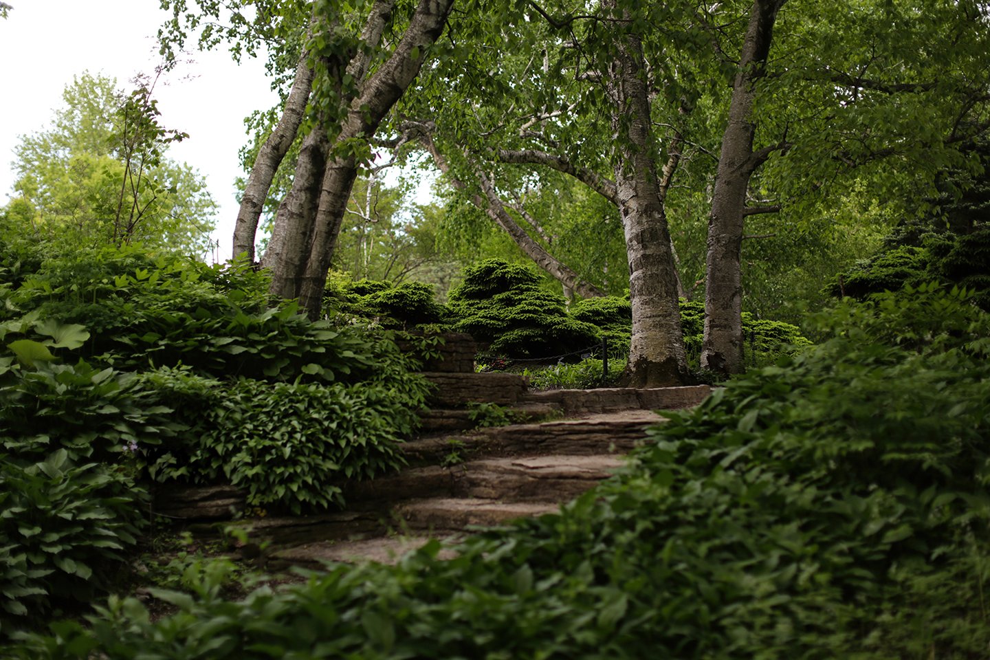 Locations_BoernerBotanicalGardens (13).jpg