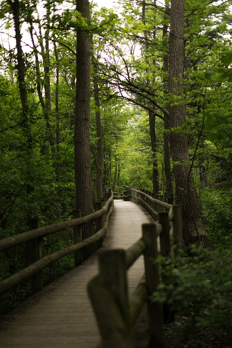 Locations_BoernerBotanicalGardens (1).jpg