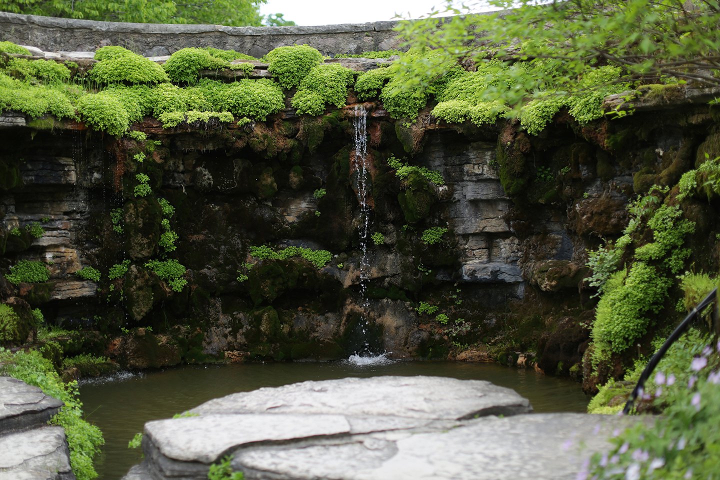 Locations_BoernerBotanicalGardens (2).jpg