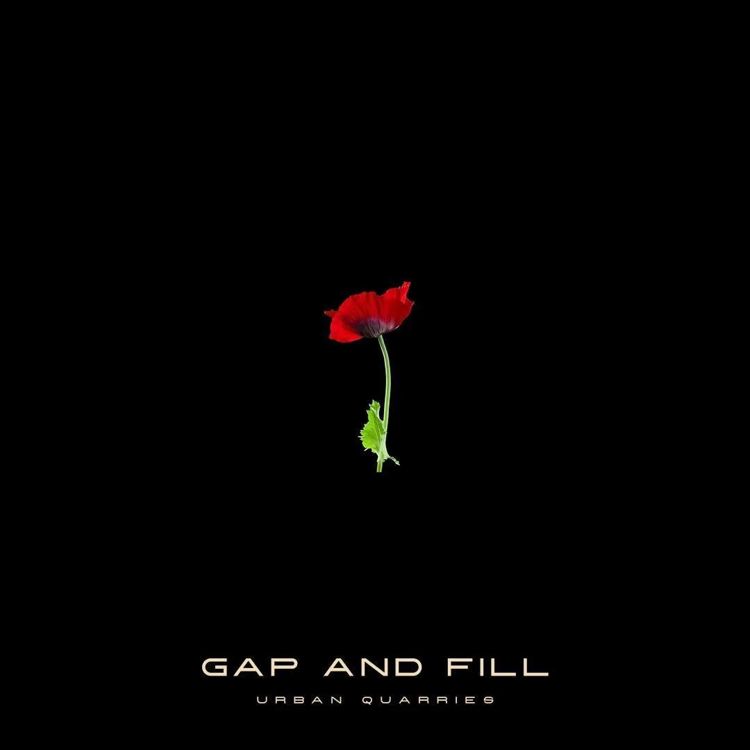 WE WILL REMEMBER THEM.

#anzac #anzacday #lestweforget #gapandfillnz