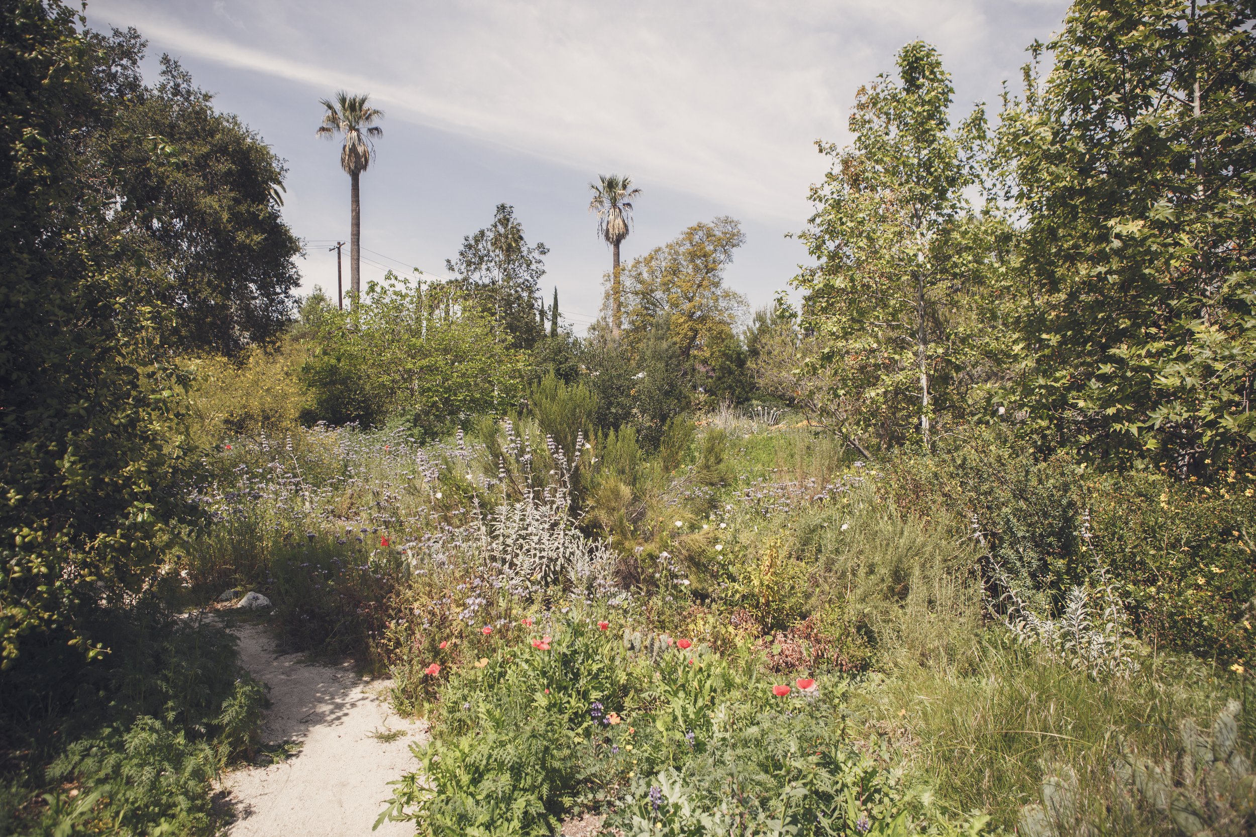 20140329_jessreynolds_danielasamuel-87.jpg