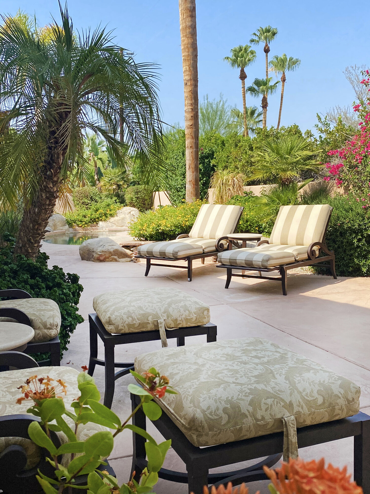 Backyard Seating Area