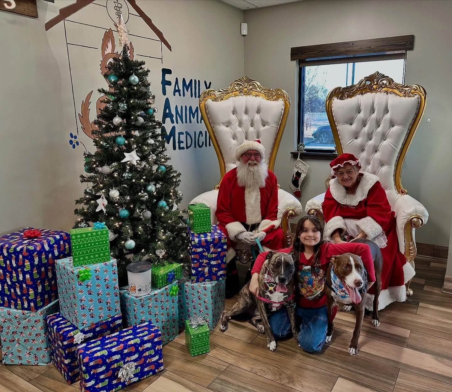 #soulamou14 🎄 Merry Christmas! 🎄🎄Love, Soula, Jagger and Libby 🥰