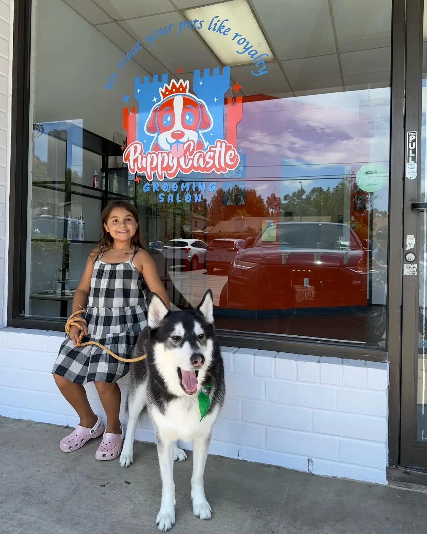 One of our best clients. Mr. Max ❤️ #huskylove #dog #instagood #insta #dogsofinstagram #grooming #petstagram #smile #love