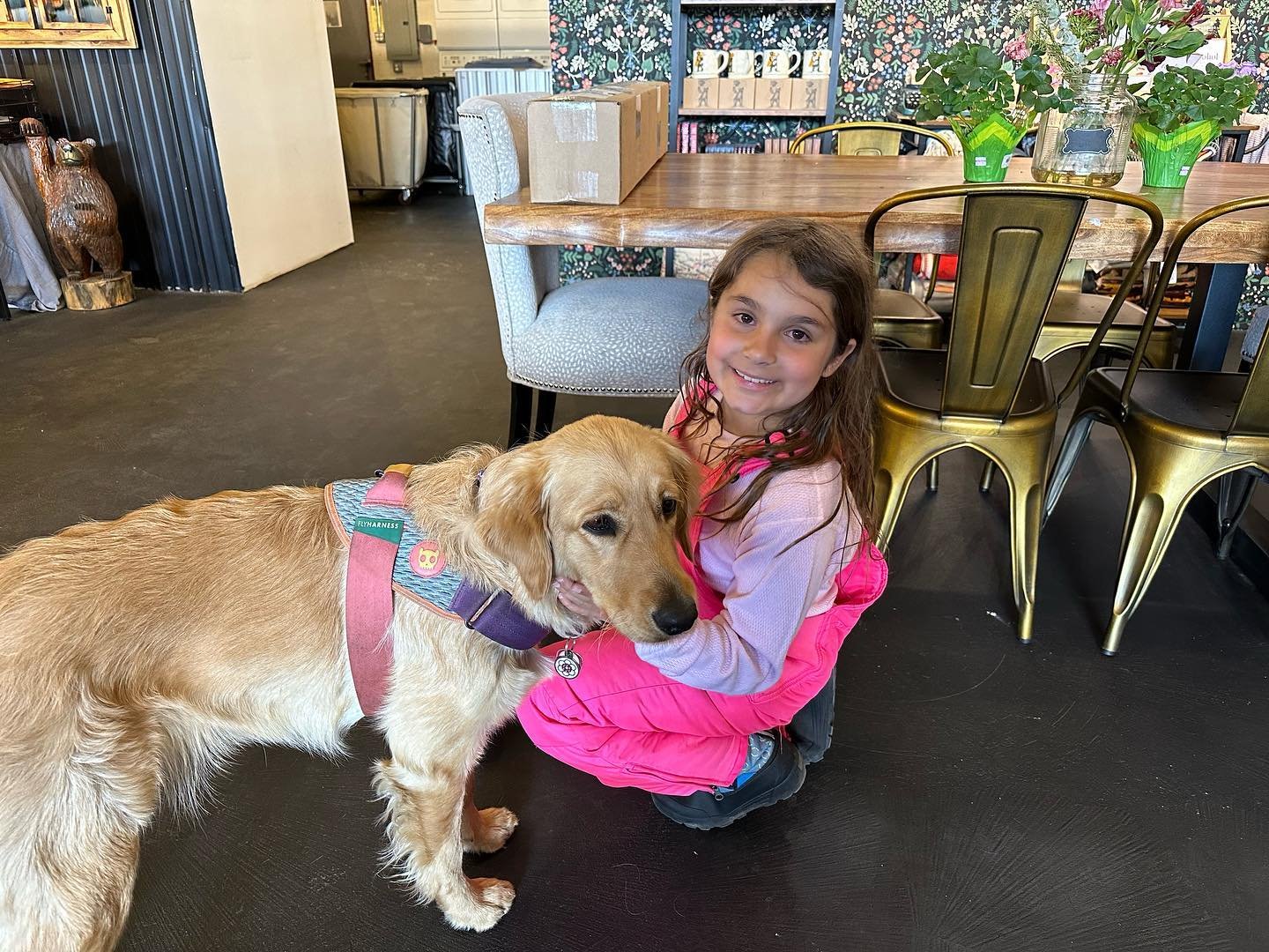 Wherever we go&hellip;🐶❤️ #soulamou14