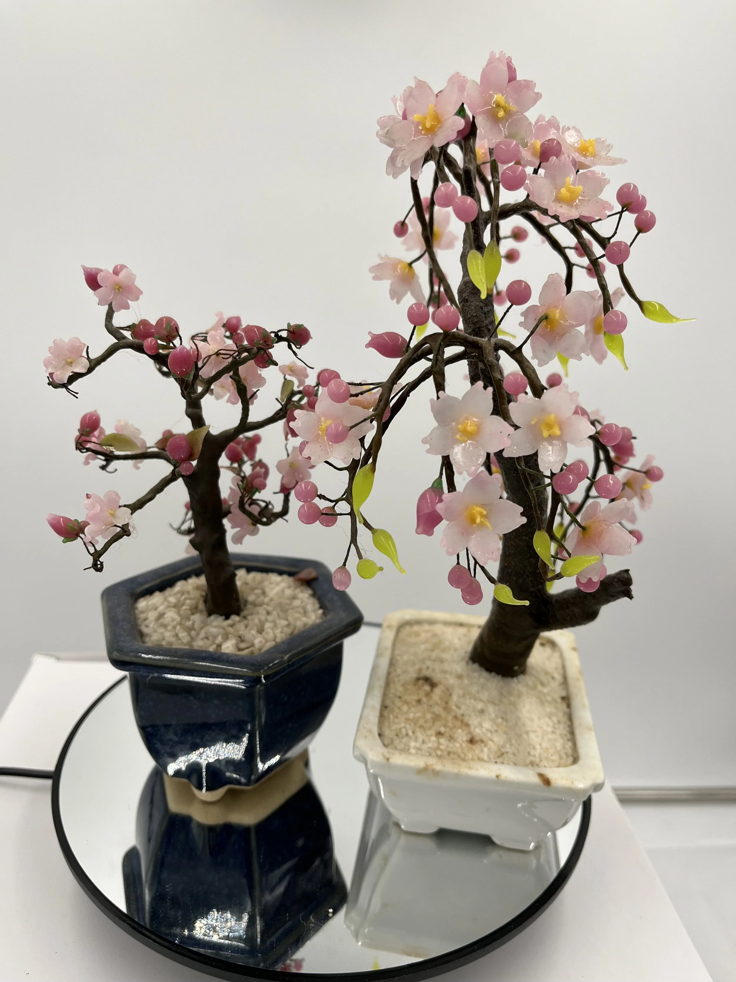 IMG_2684.JPG