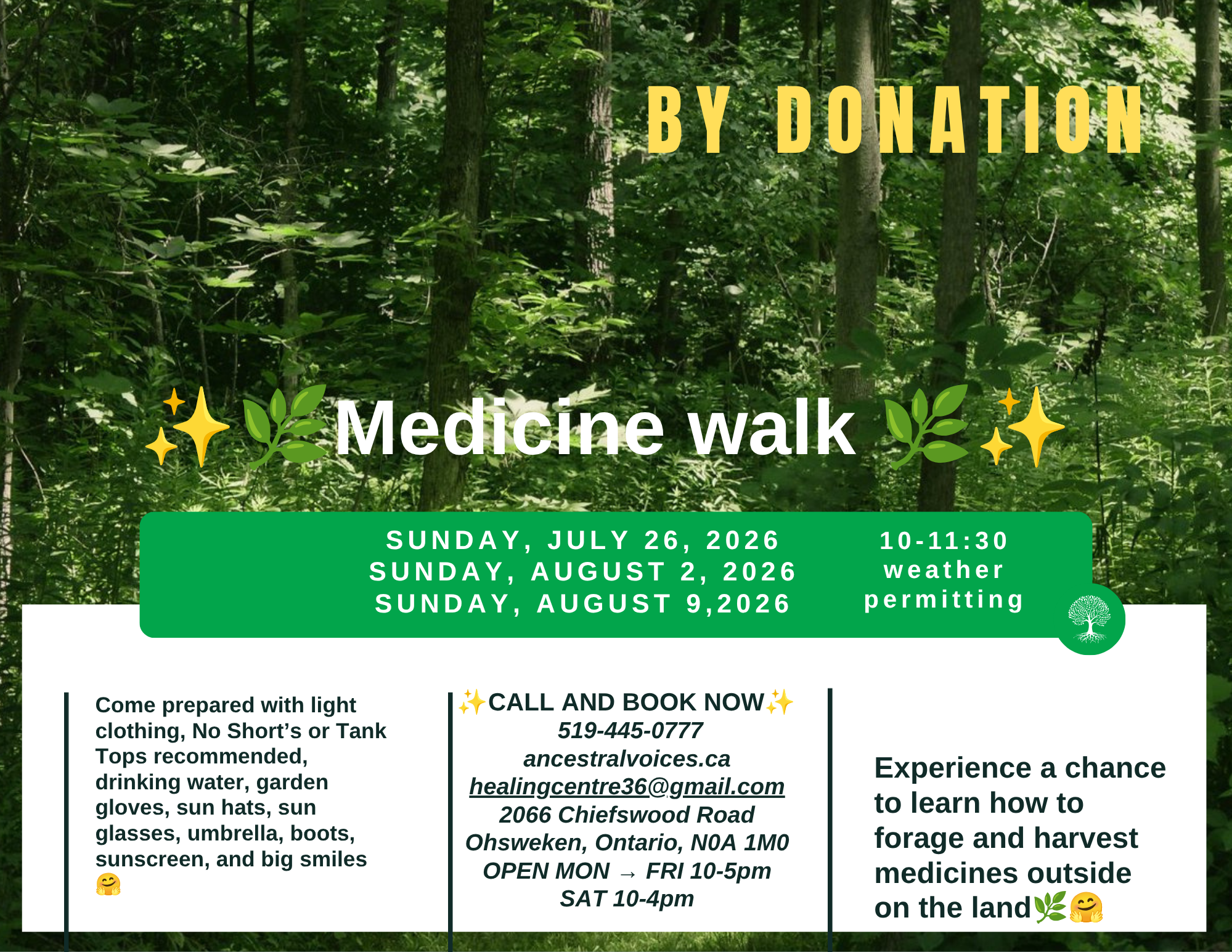 Medicine Walk
