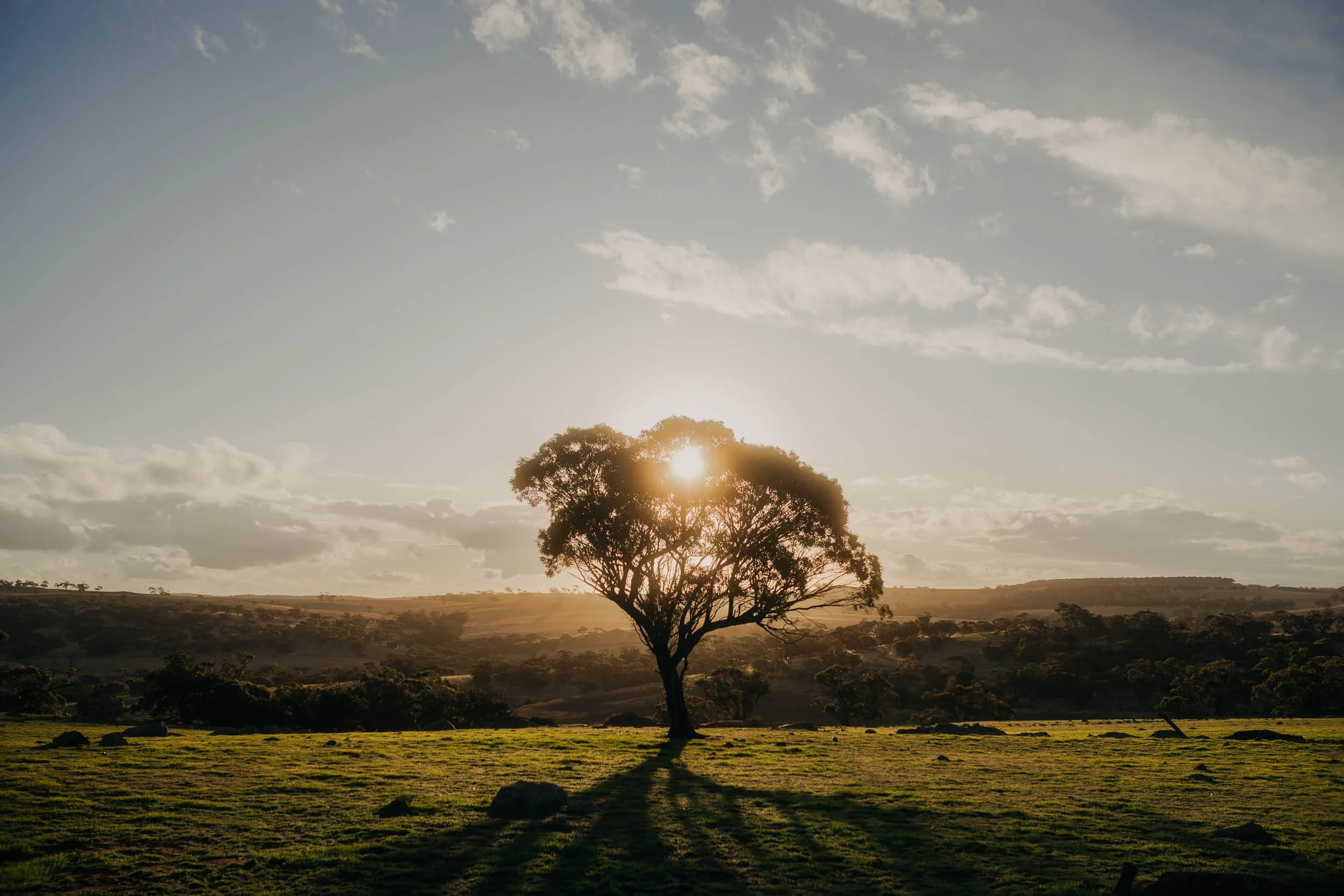 23.4.28 Toodyay Campaign-4.JPG