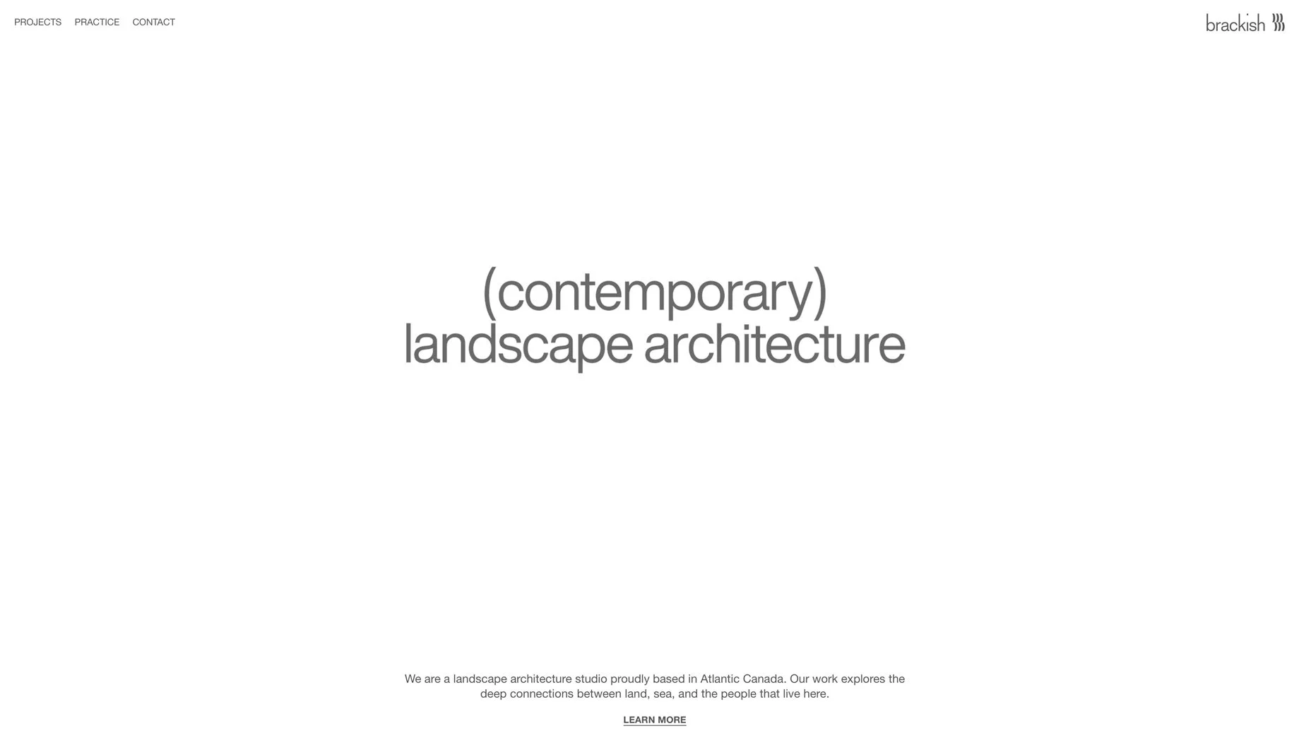 Brackish-Design-Website-1.jpg