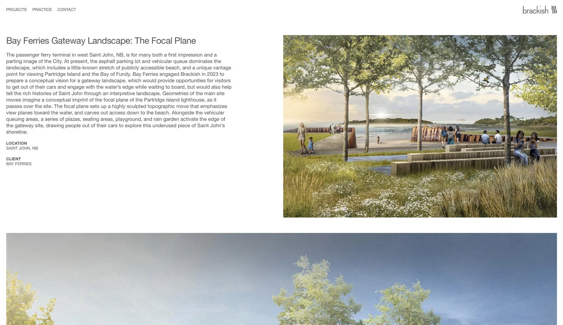 Brackish-Design-Website-5.jpg