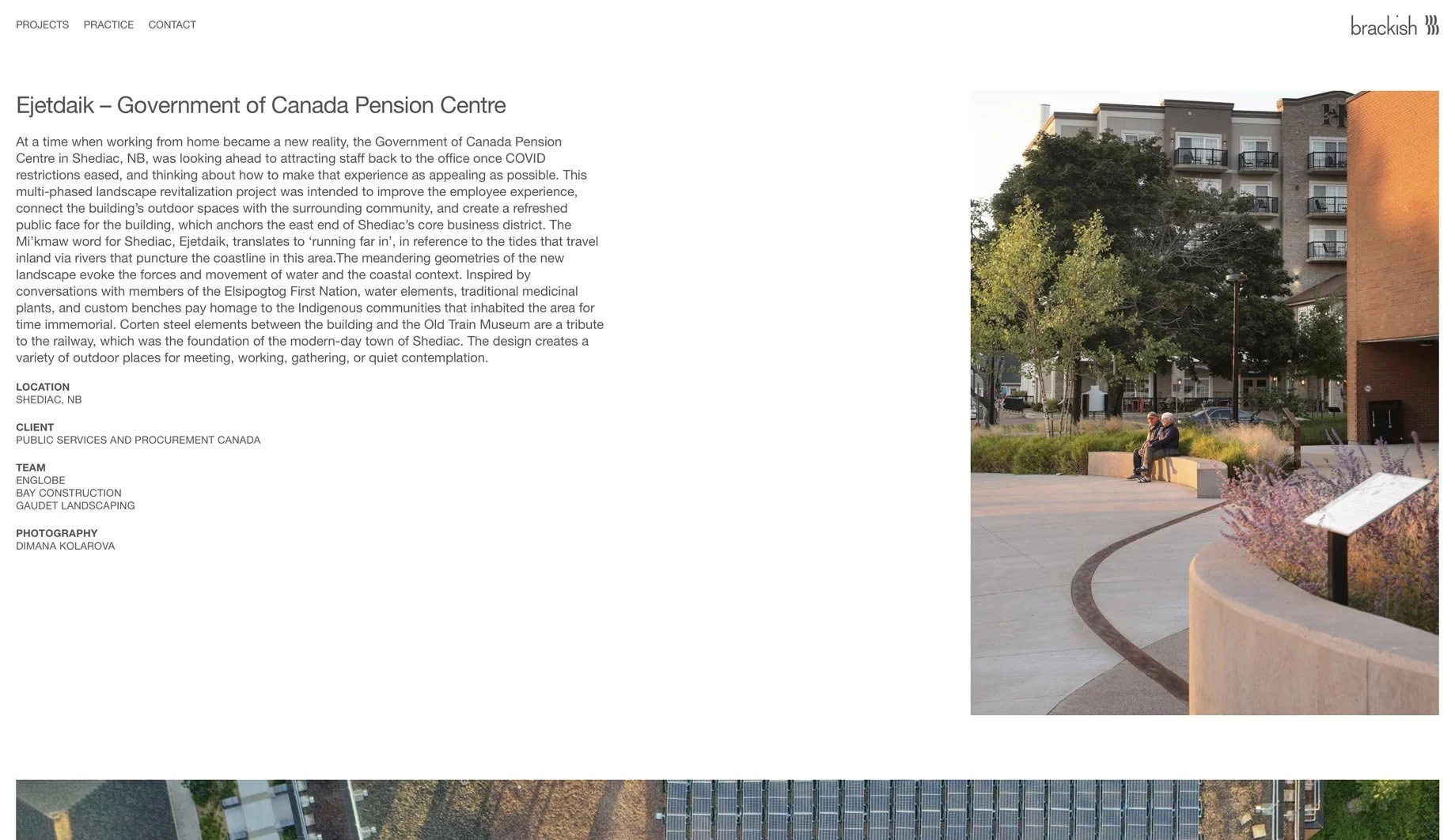 Brackish-Design-Website-14.jpg