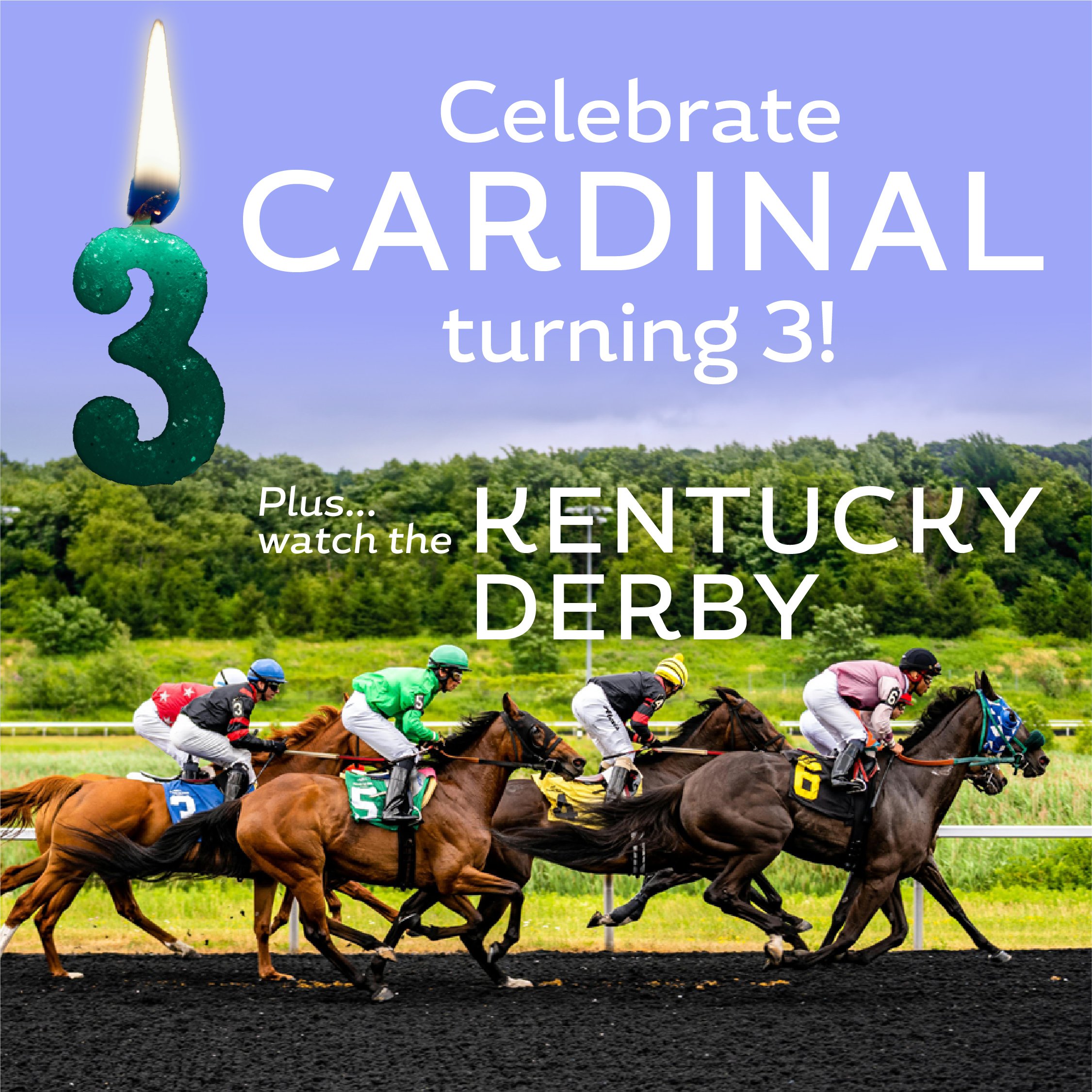 🎈 Cardinal's 3rd Birthday & 🏇 Kentucky Derby Day!