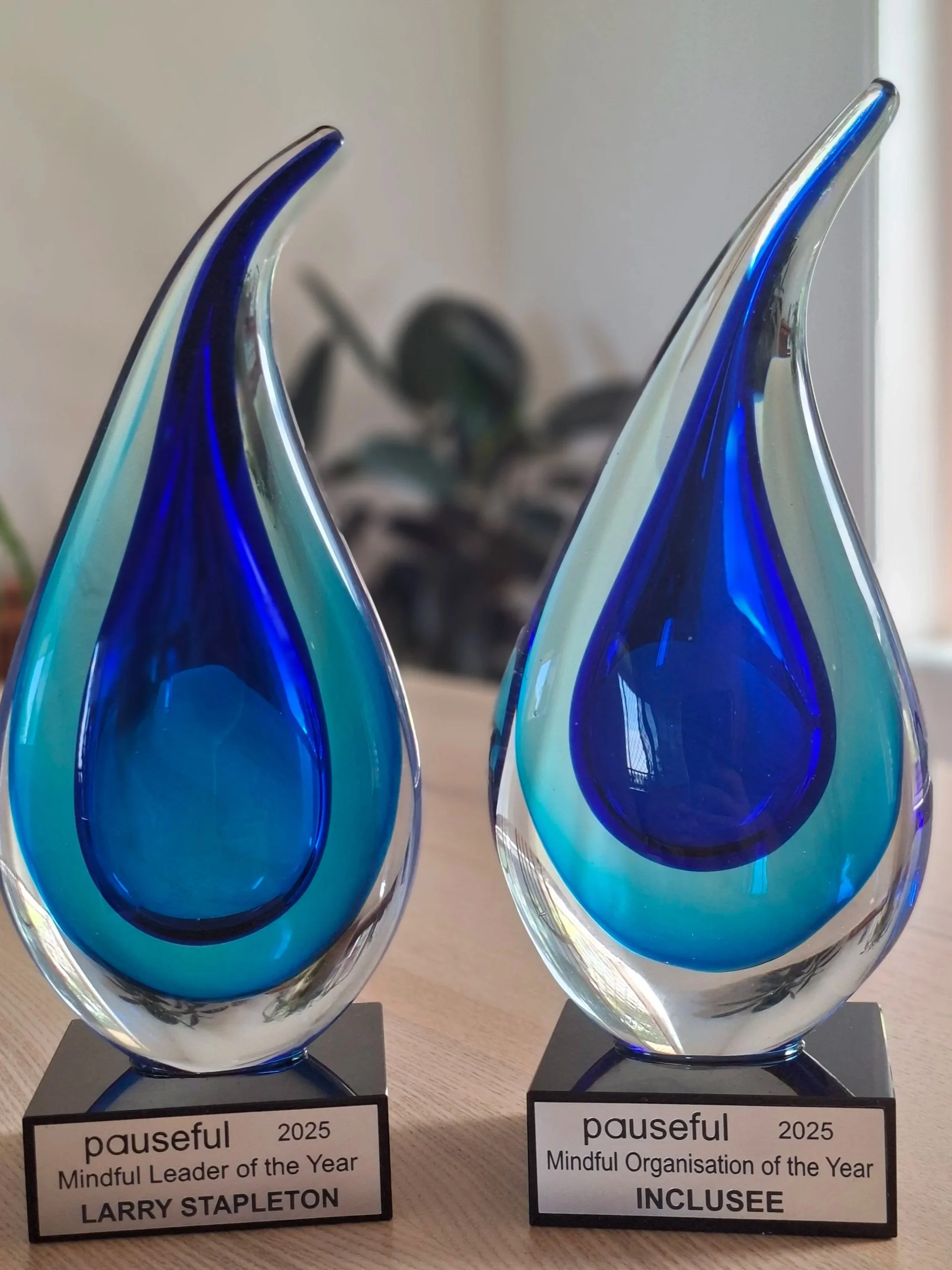 Celebrating Mindful Excellence: Pauseful Winners Announced 2025