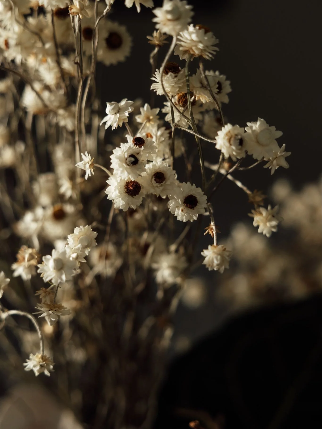 Tim&rsquo;s 60th 

Styling Details - relaxed refinement. 

Preserved florals, crisp green and white striped linen, rattan LED lamps and subtle shell accents layered together to create that effortless coastal mood.

Textural. Considered. Quietly luxur