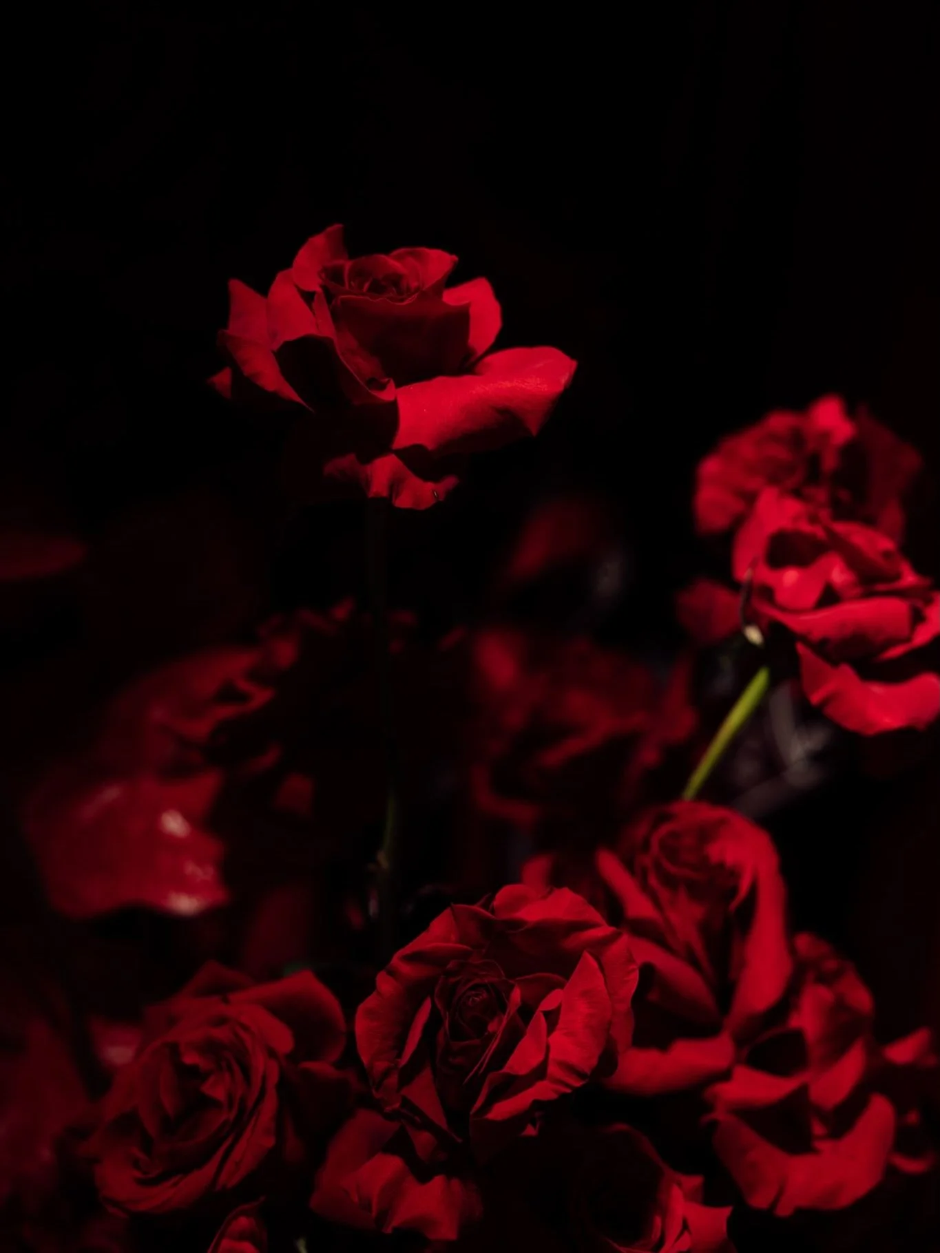 EVERY DETAIL MATTERS &hearts;️

For the LOVE Activation, even the florals carried meaning. Guests could select a rose from the garden we created &mdash; each one designed to echo a cherub&rsquo;s bow and arrow, complete with a customised printed bow 