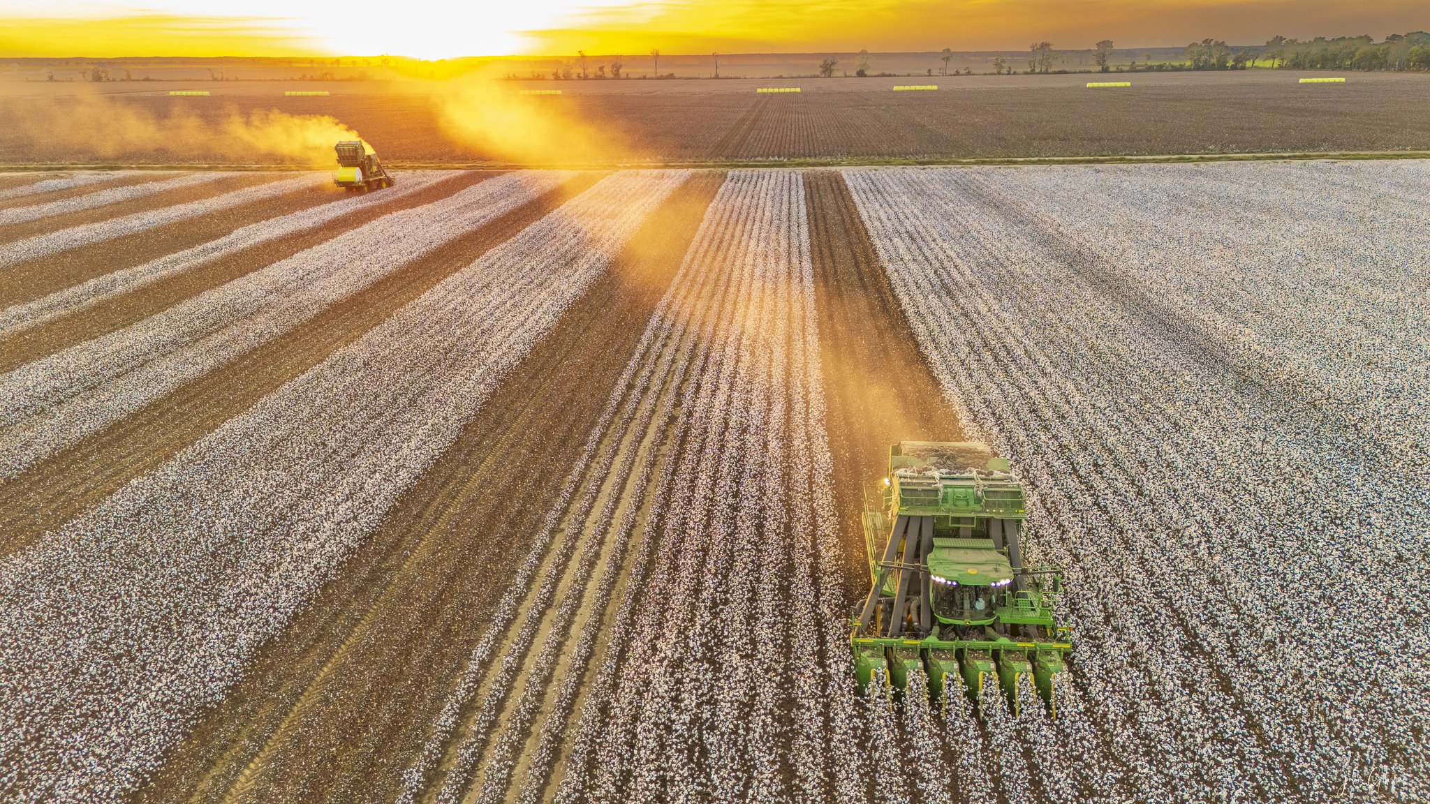 Rolling At Golden Hour