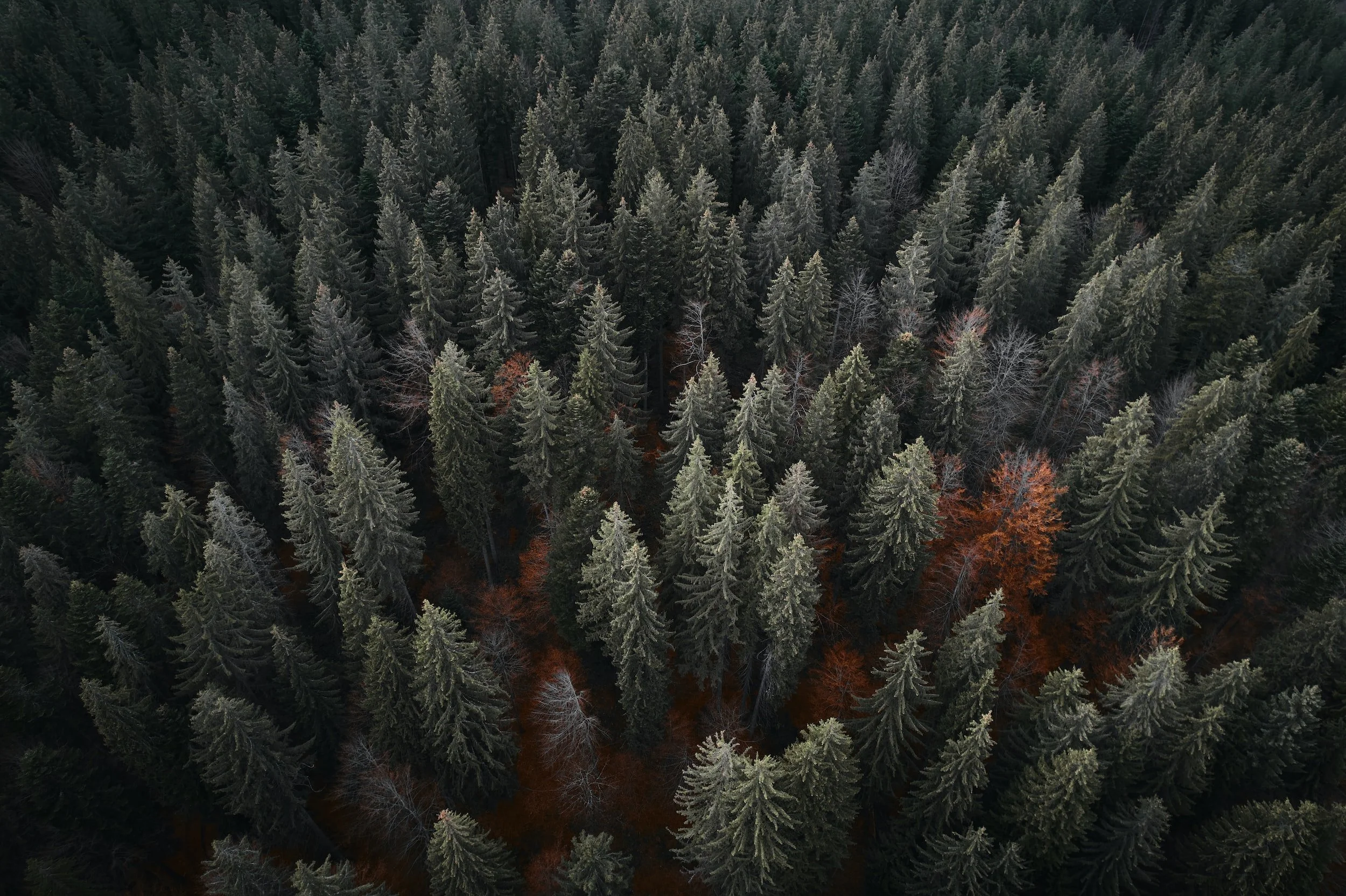 unsplash-image-VJCLLmI96OI.jpg