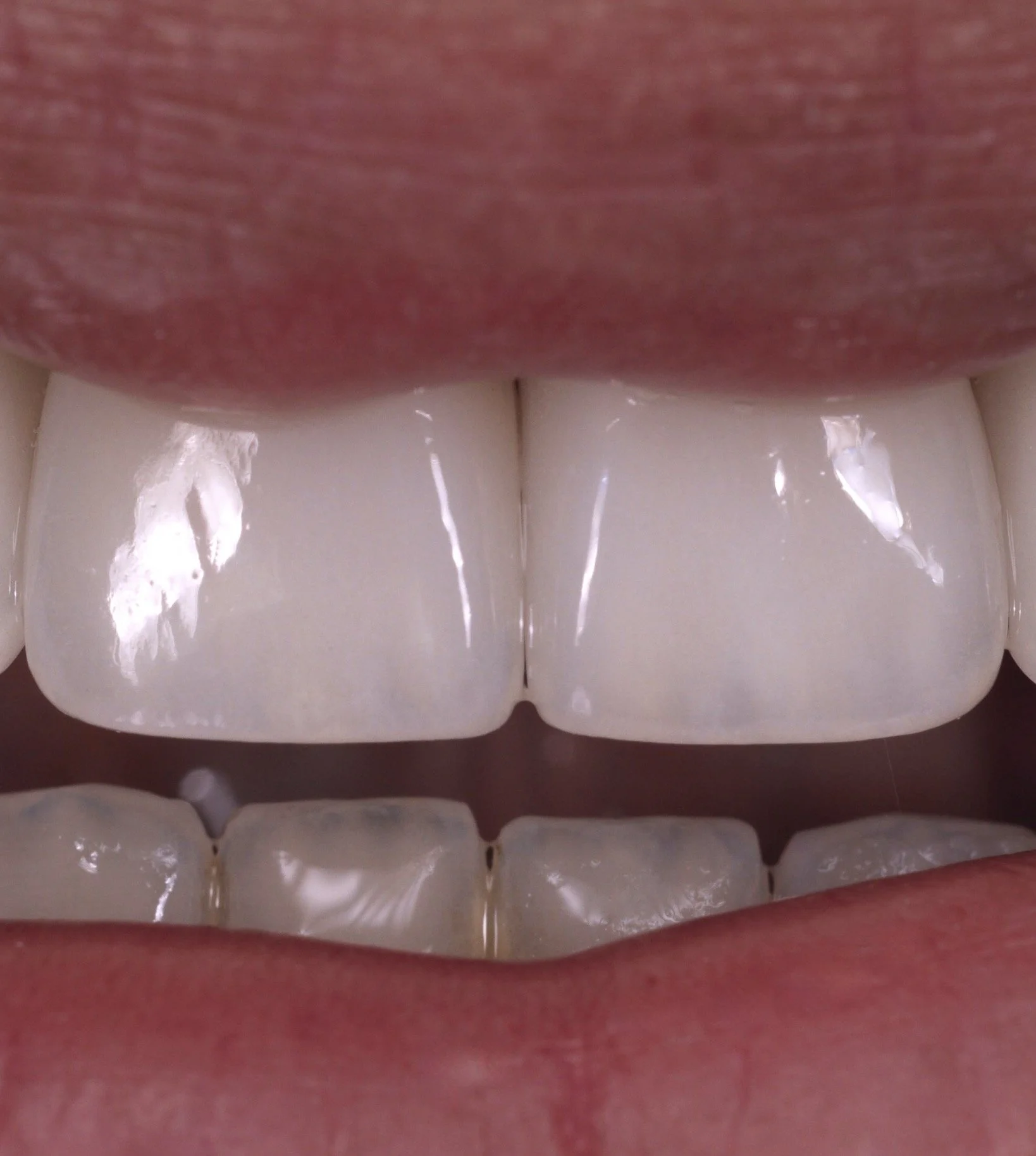 Screenshot 2026-01-16 at 2.44.13 PM.jpg