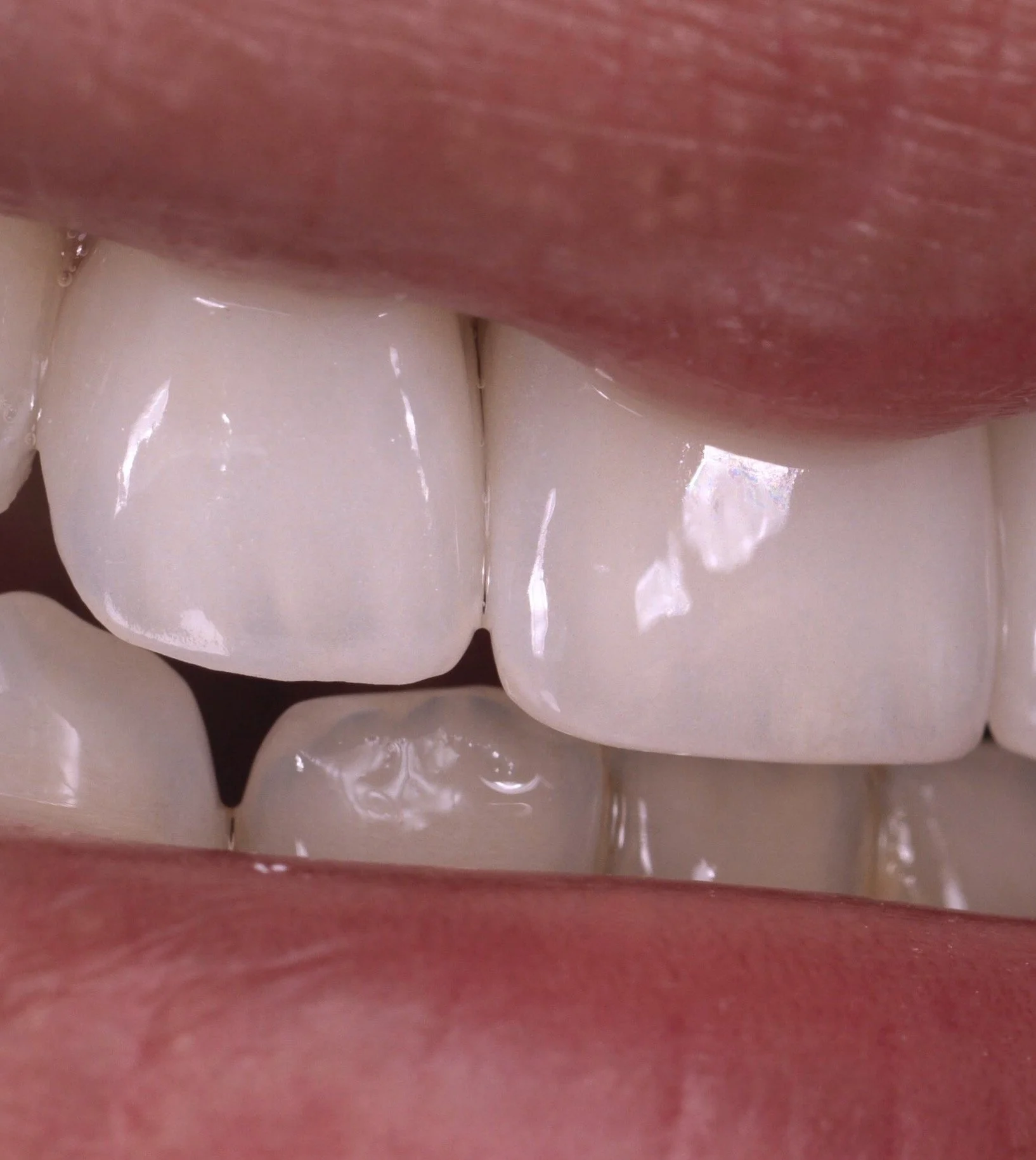 Screenshot 2026-01-16 at 2.44.08 PM.jpg