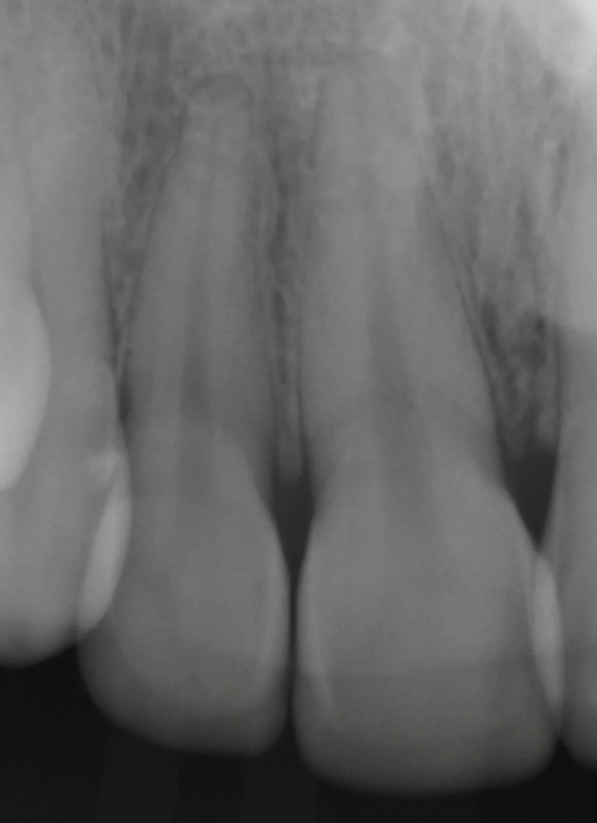 Screenshot 2026-01-19 at 11.47.02 PM.jpg