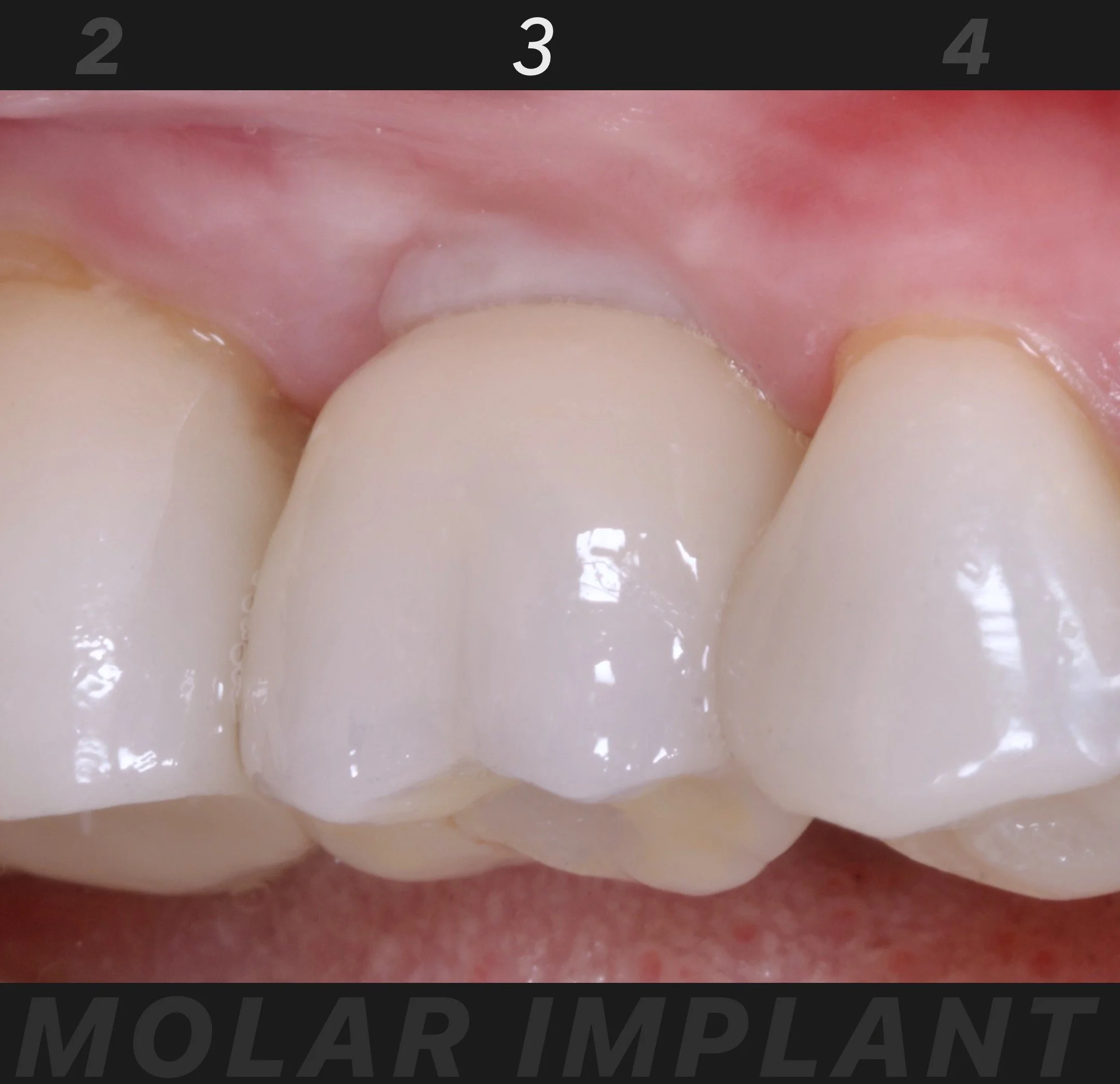 Screenshot 2025-11-03 at 8.40.11 AM.jpg