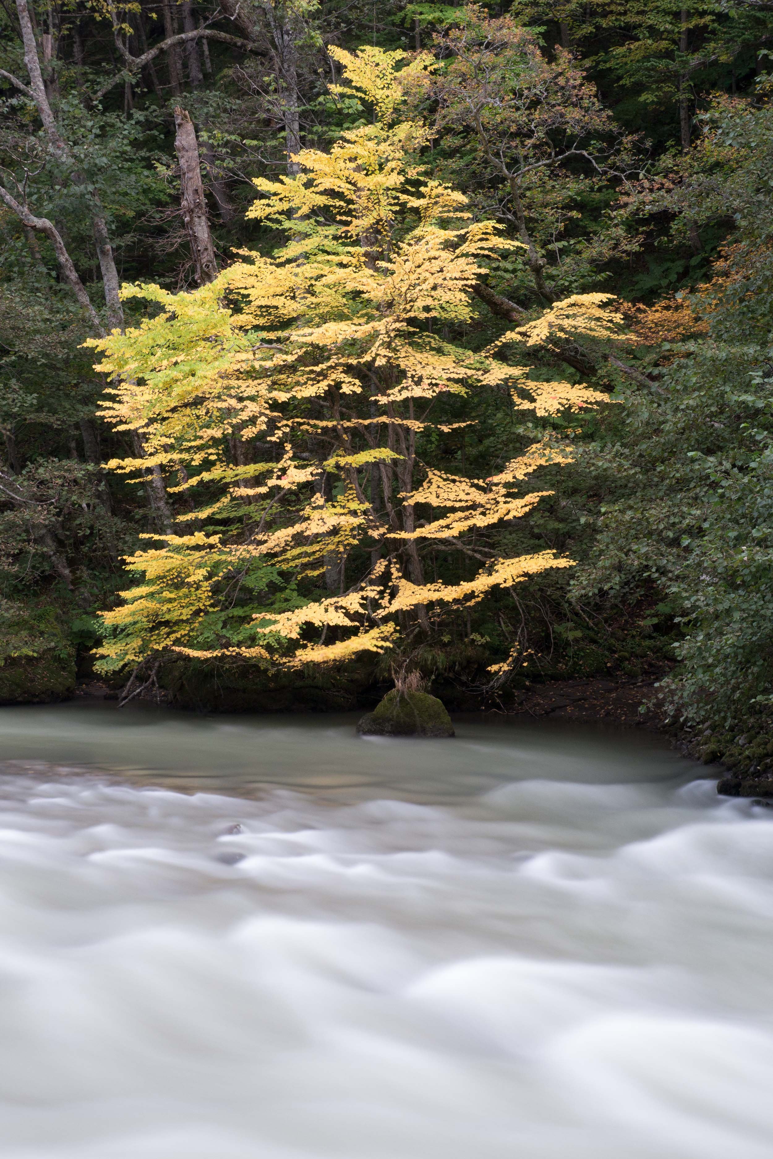 ISHIKARI RIVER, SOUNKYO GORGE