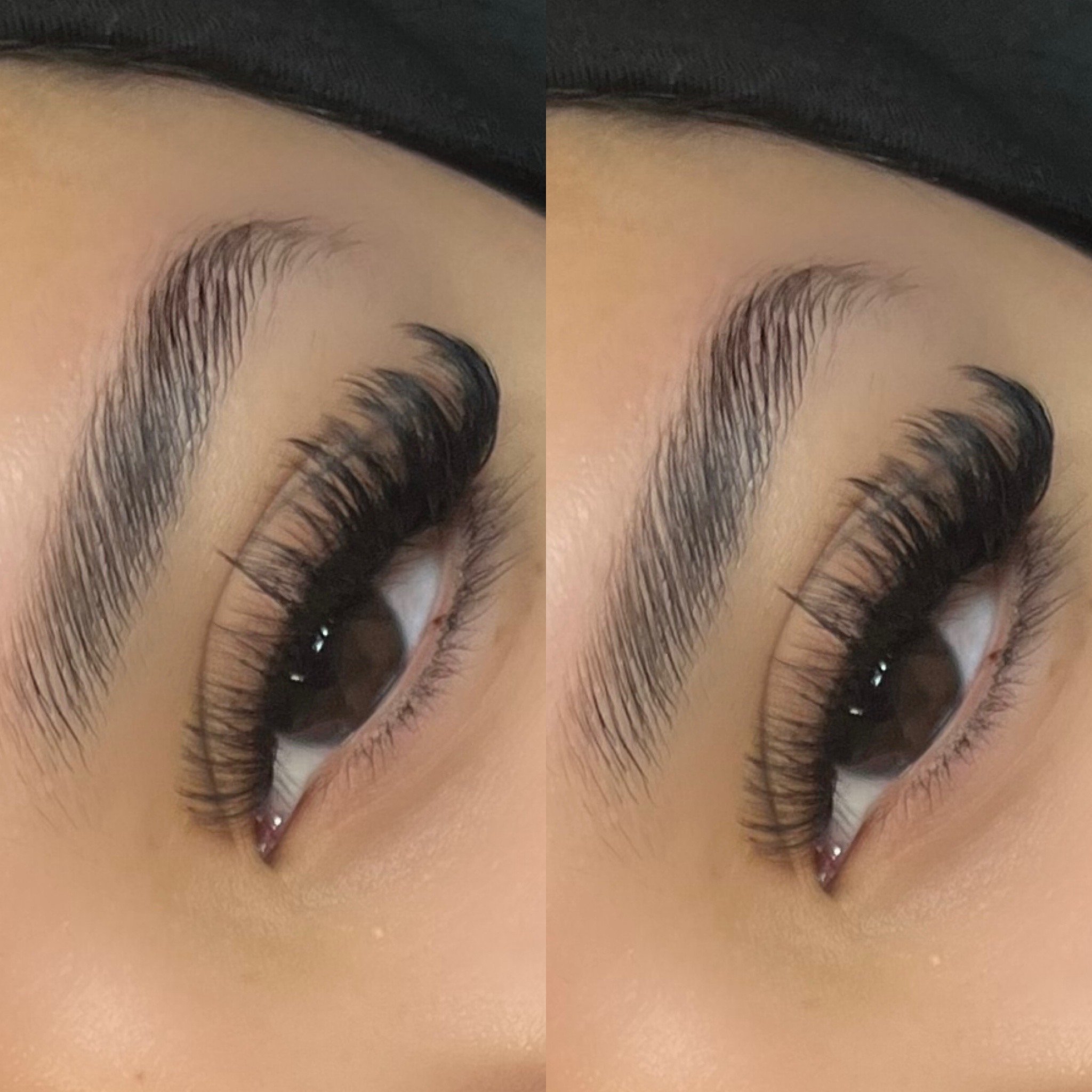 MEGA VOLUME WISPY CATEYE