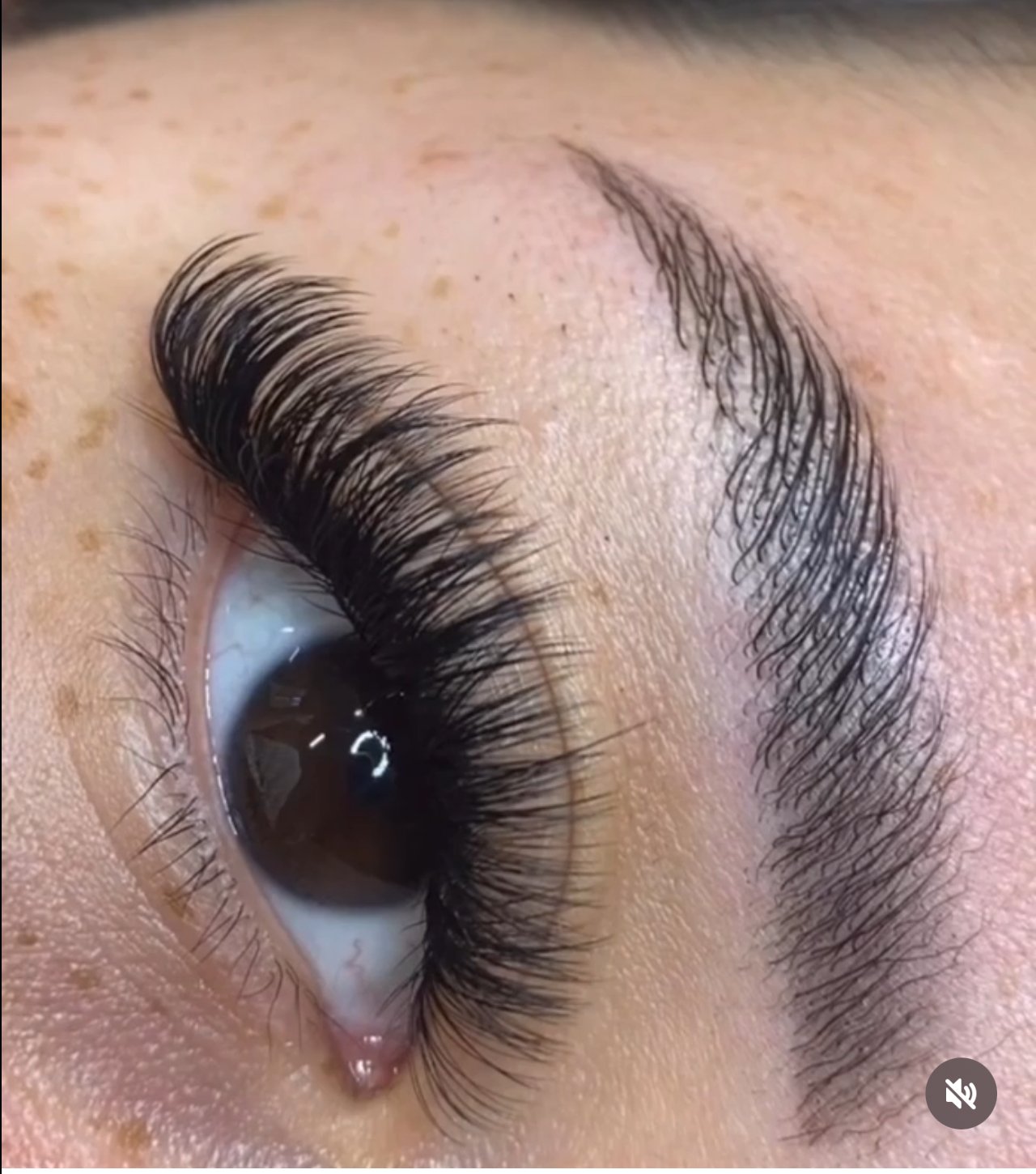 VOLUME SET & BROW COMBO
