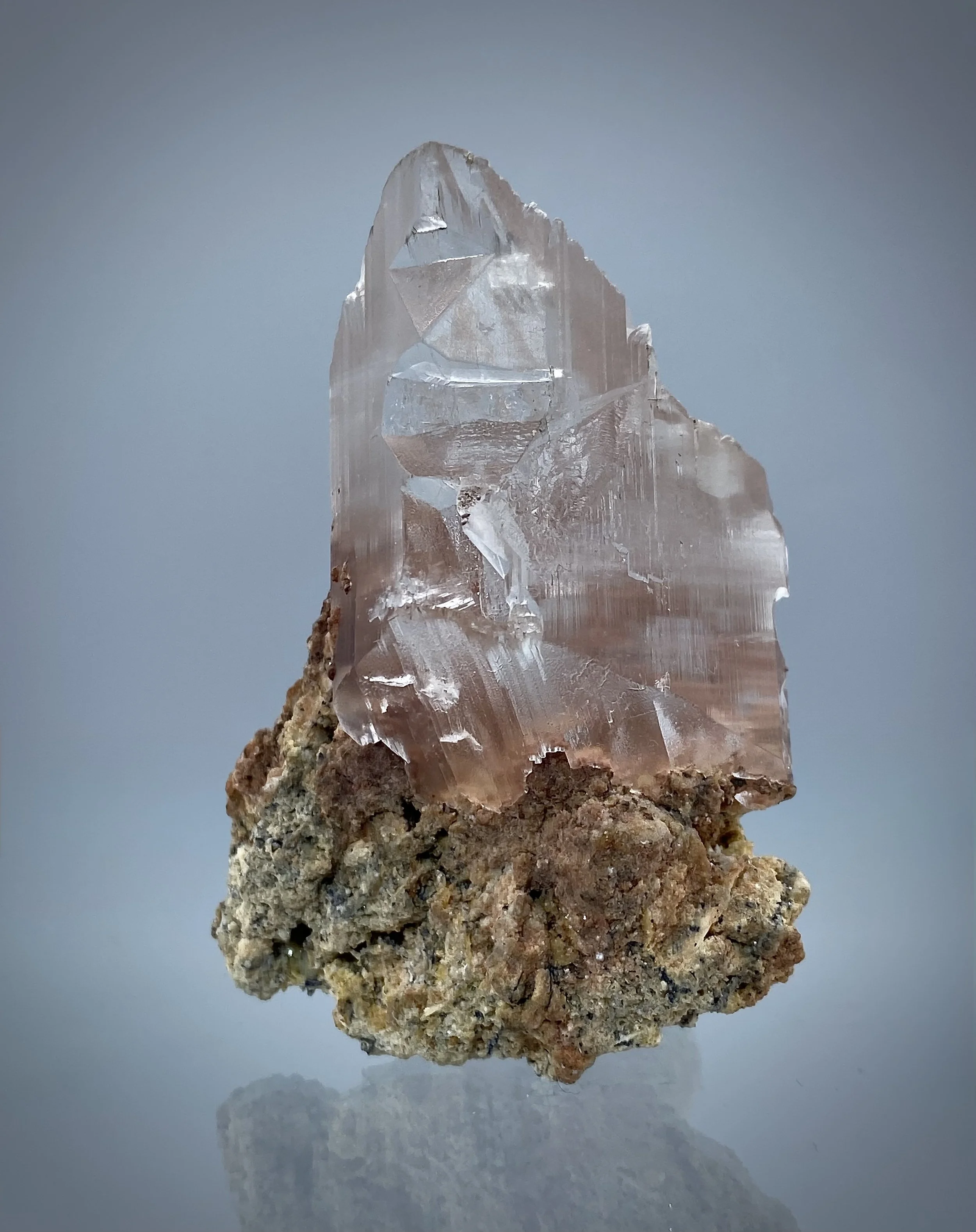 IMG_2060.jpeg (Copy)